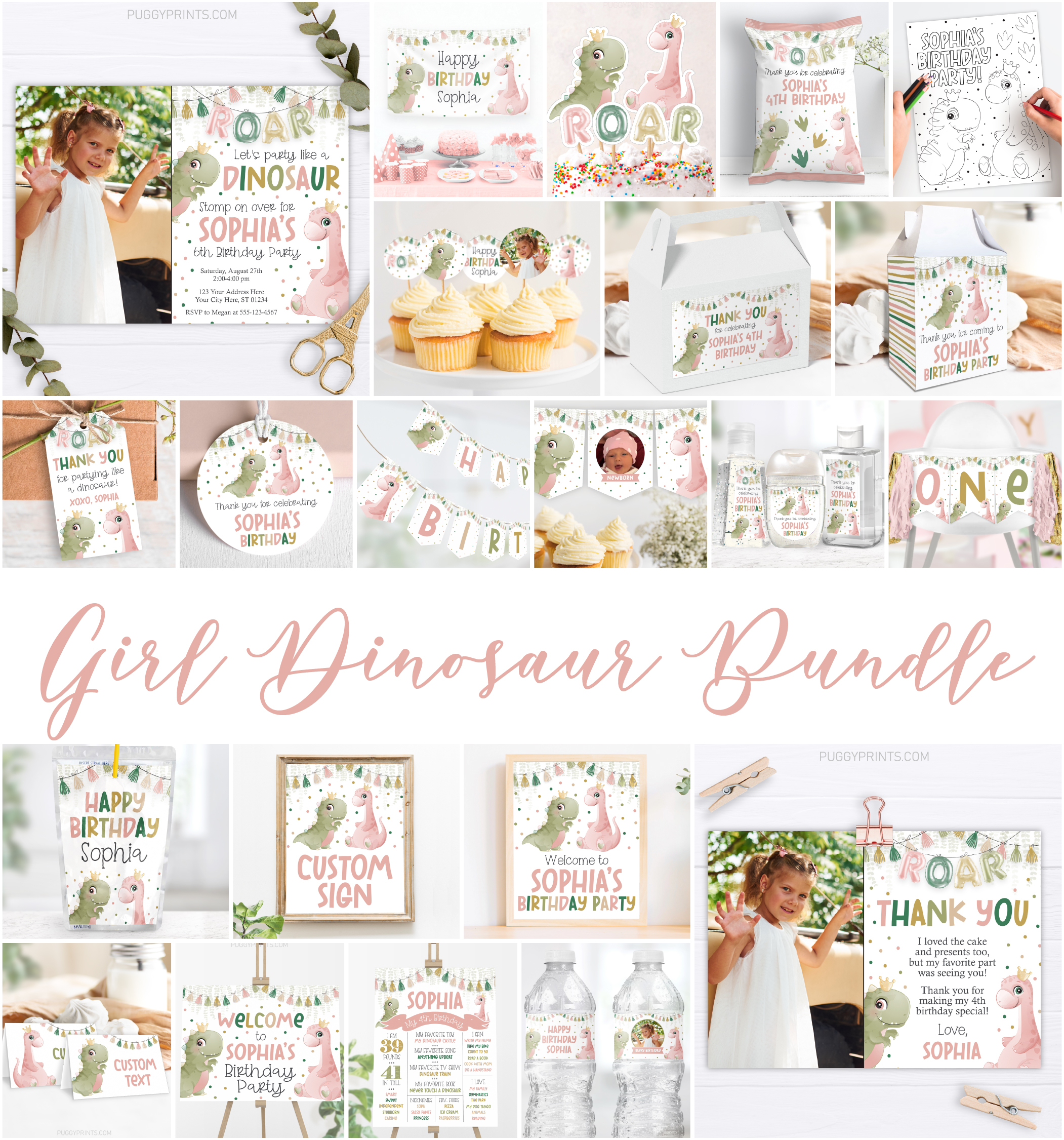 Dinosaur Party Pack DI1009GS design preview