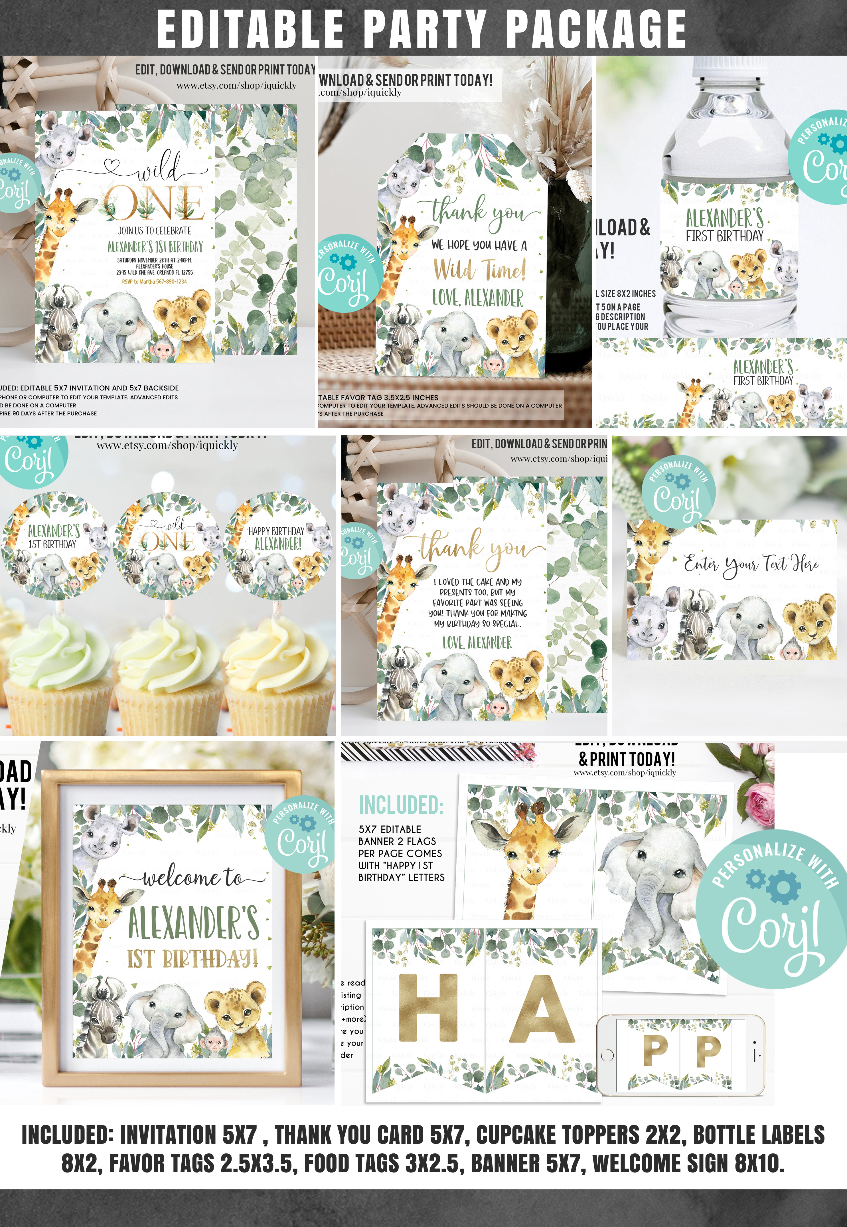 WILD1 - Wild one party package design preview