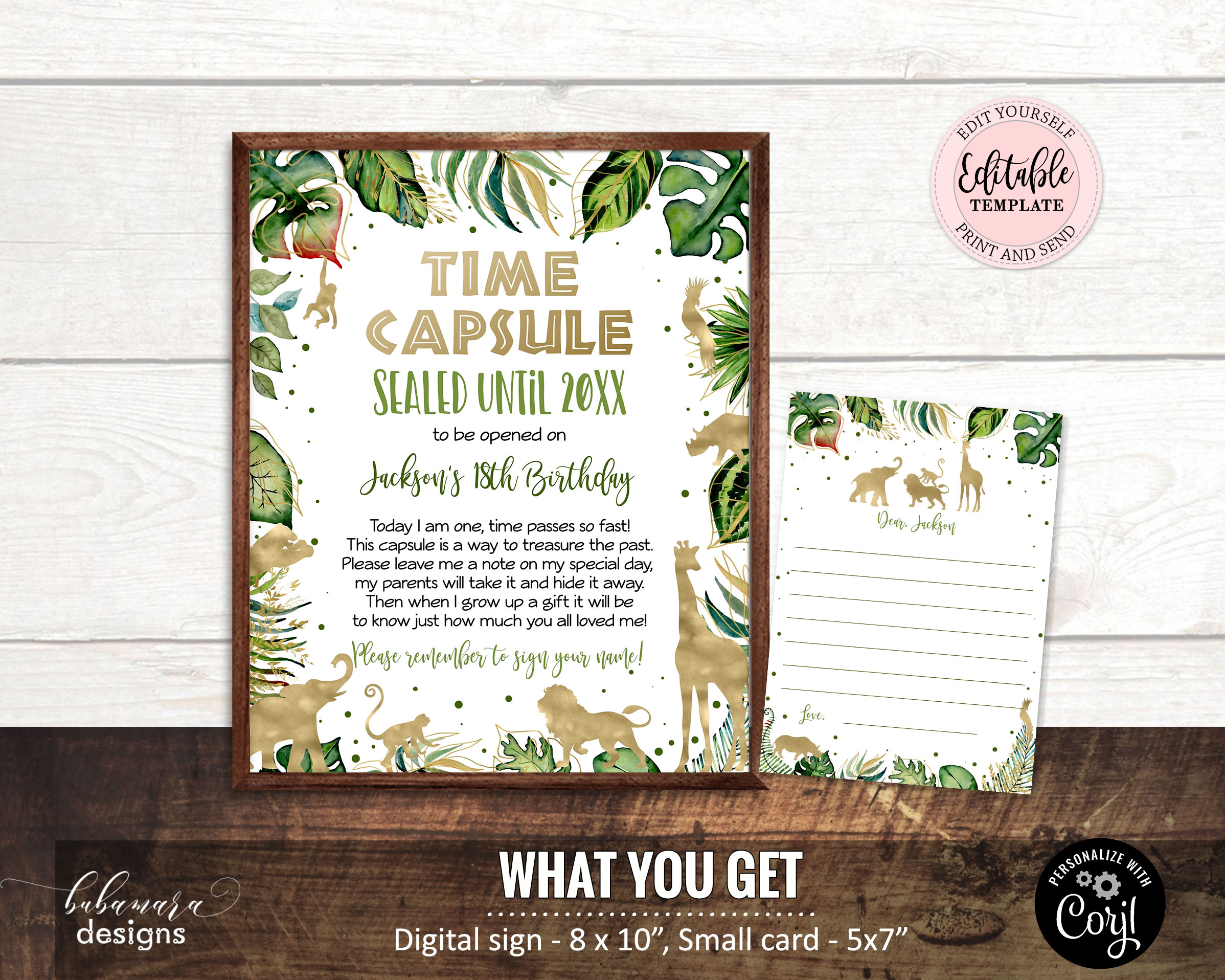 CEP038TCB Time Capsule design preview