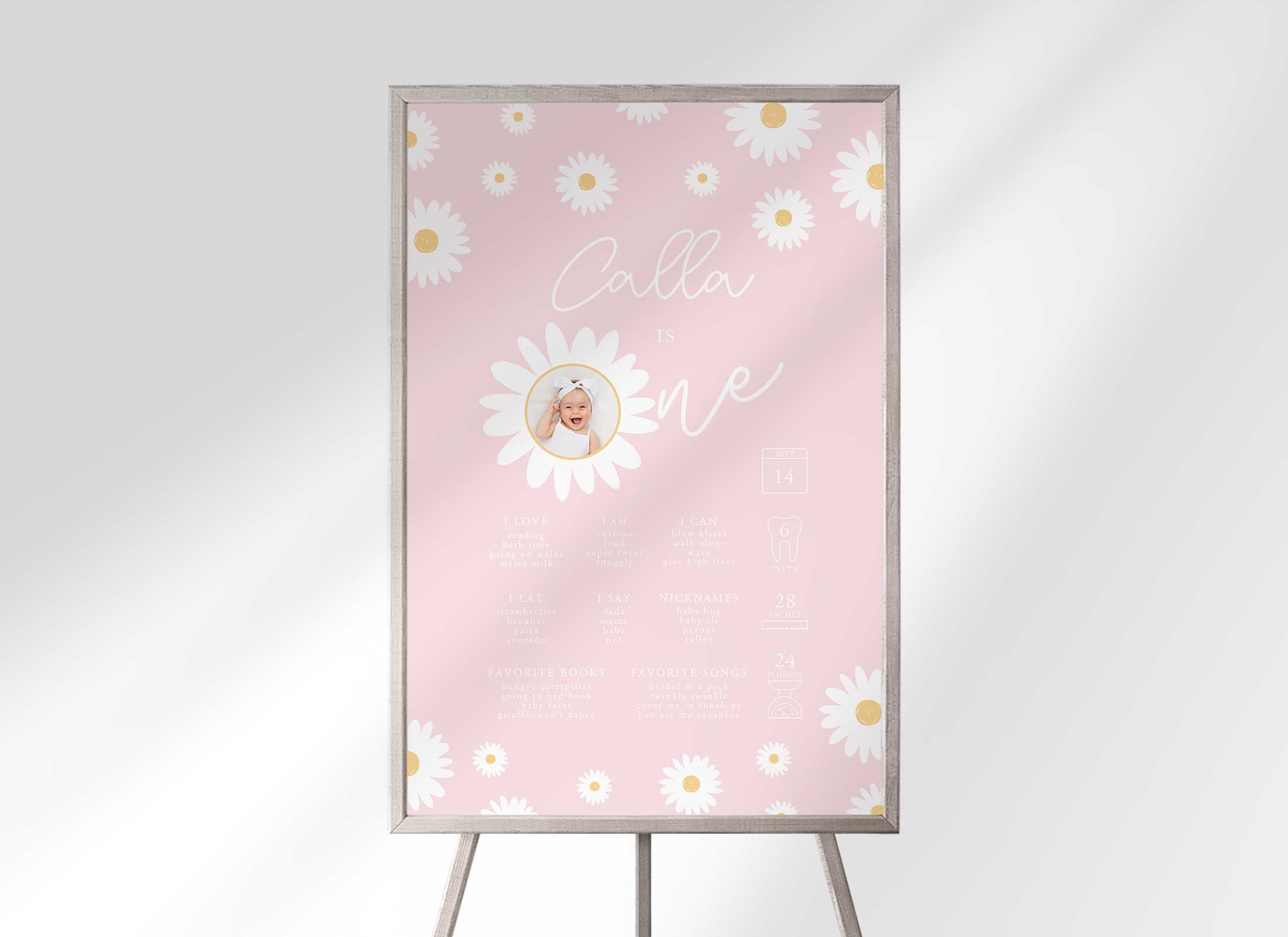 Blush Daisy - Birthday - Milestone Chart with Photo design preview