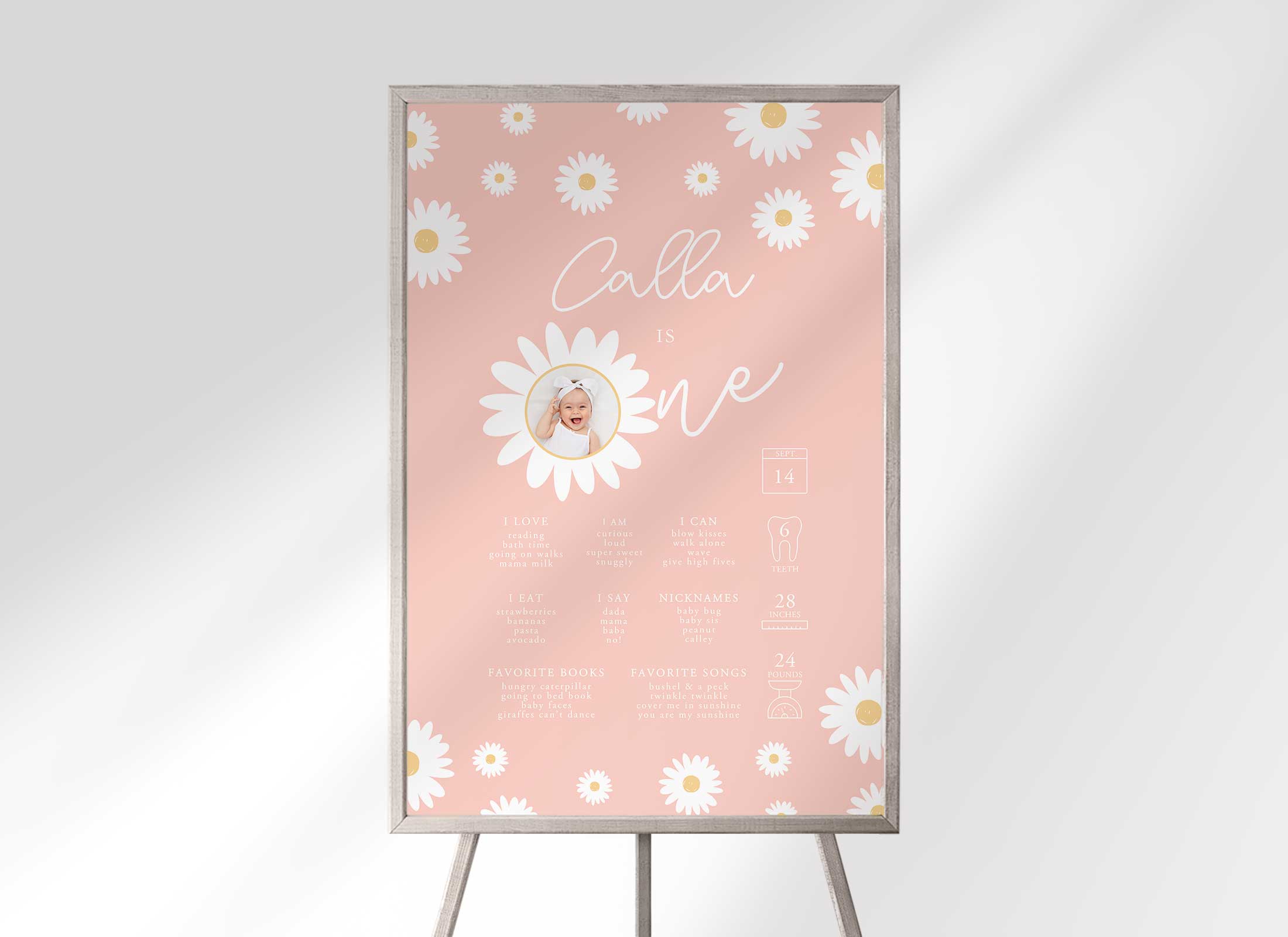 Pink Daisy - Birthday - Milestone Chart with Photo design preview