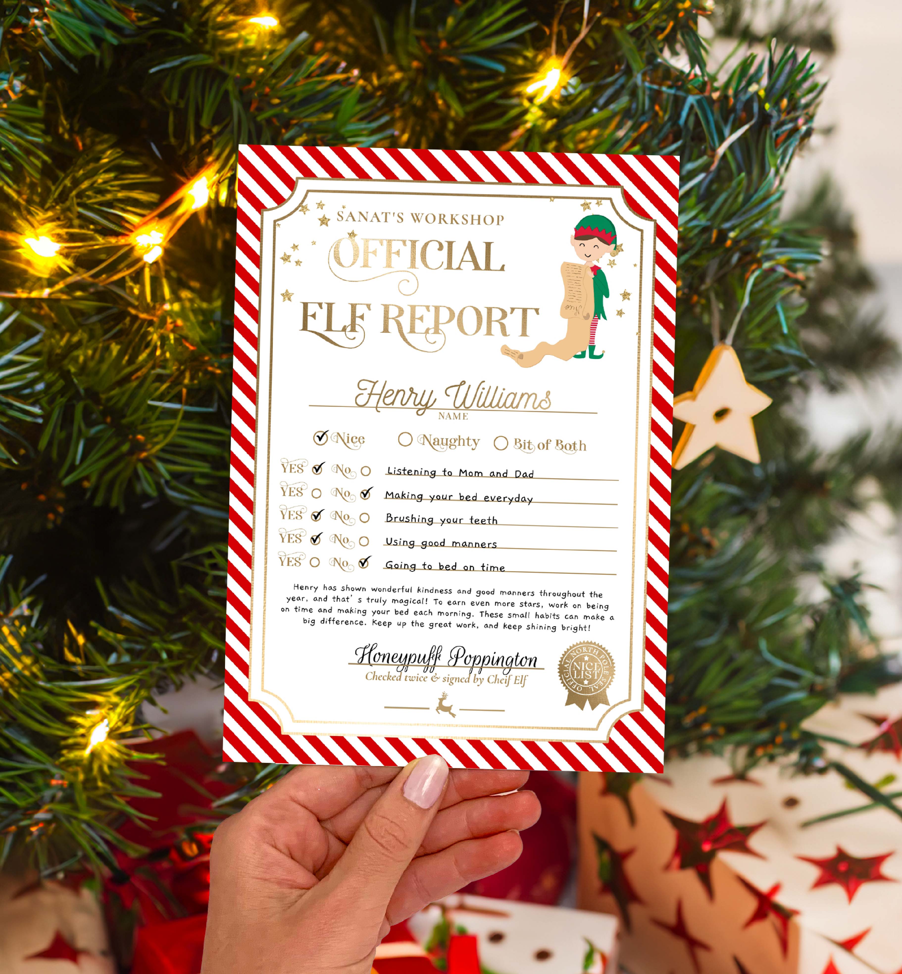STR-RED-24-B3393 - STRIPE - RED- ELF REPORT CARD design preview
