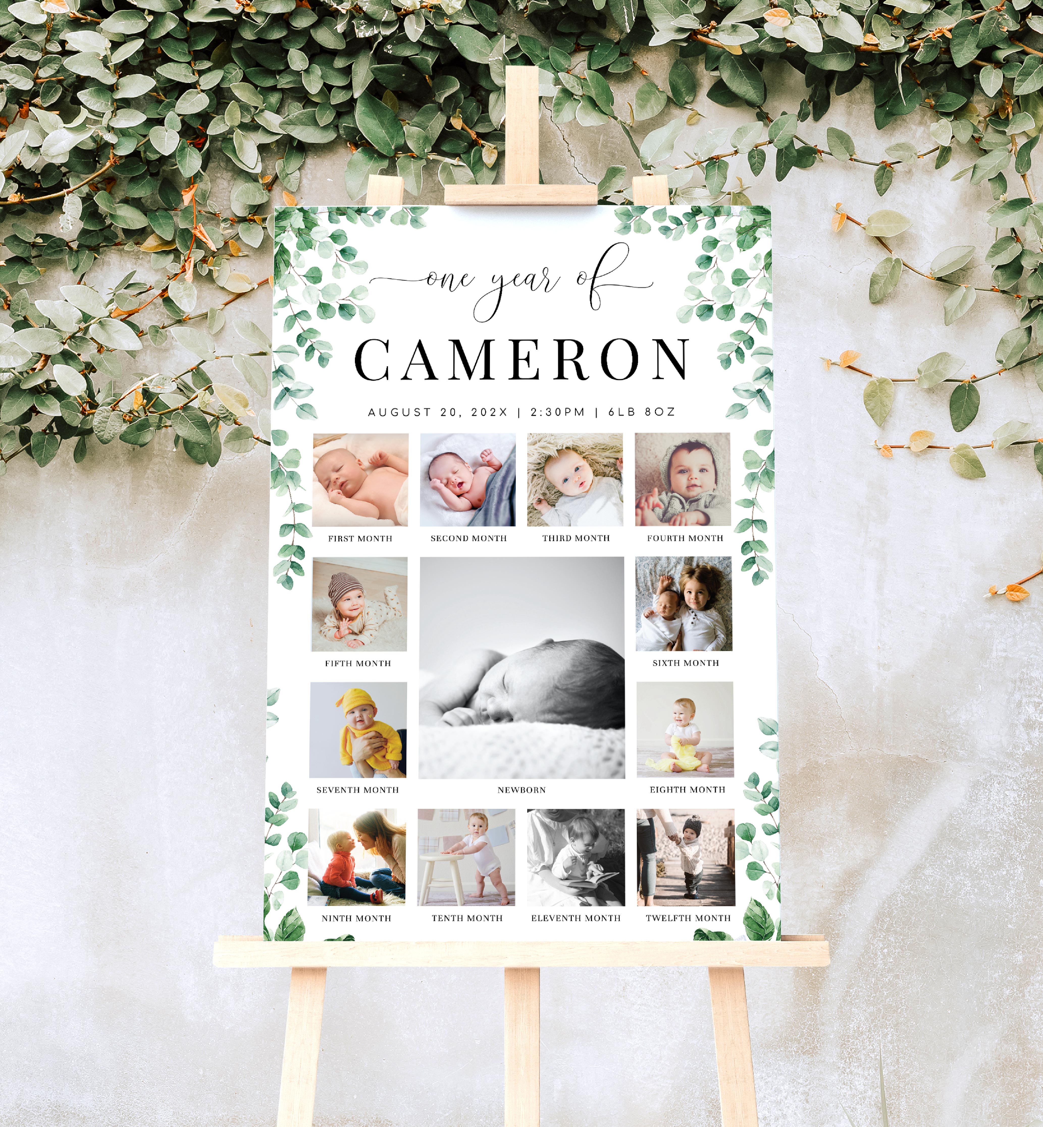 FER-GRE-7-B2361 - FERRAS BLOSSOM - GREENERY - PHOTO TIMELINE SIGN design preview