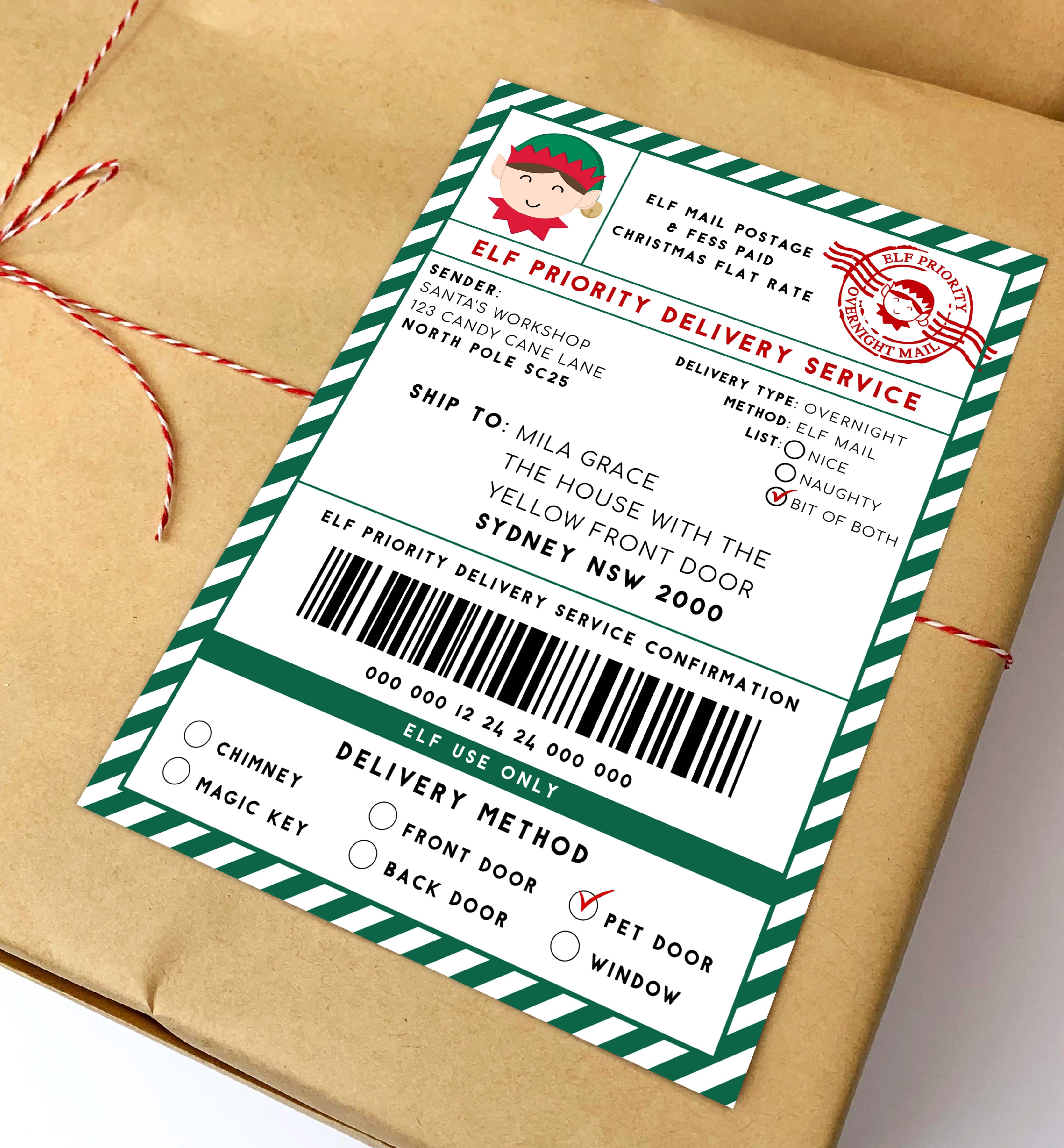 SAW-GRE-6-B2939 - SANTAS WORKSHOP - GREEN - ELF SHIPPING LABEL design preview