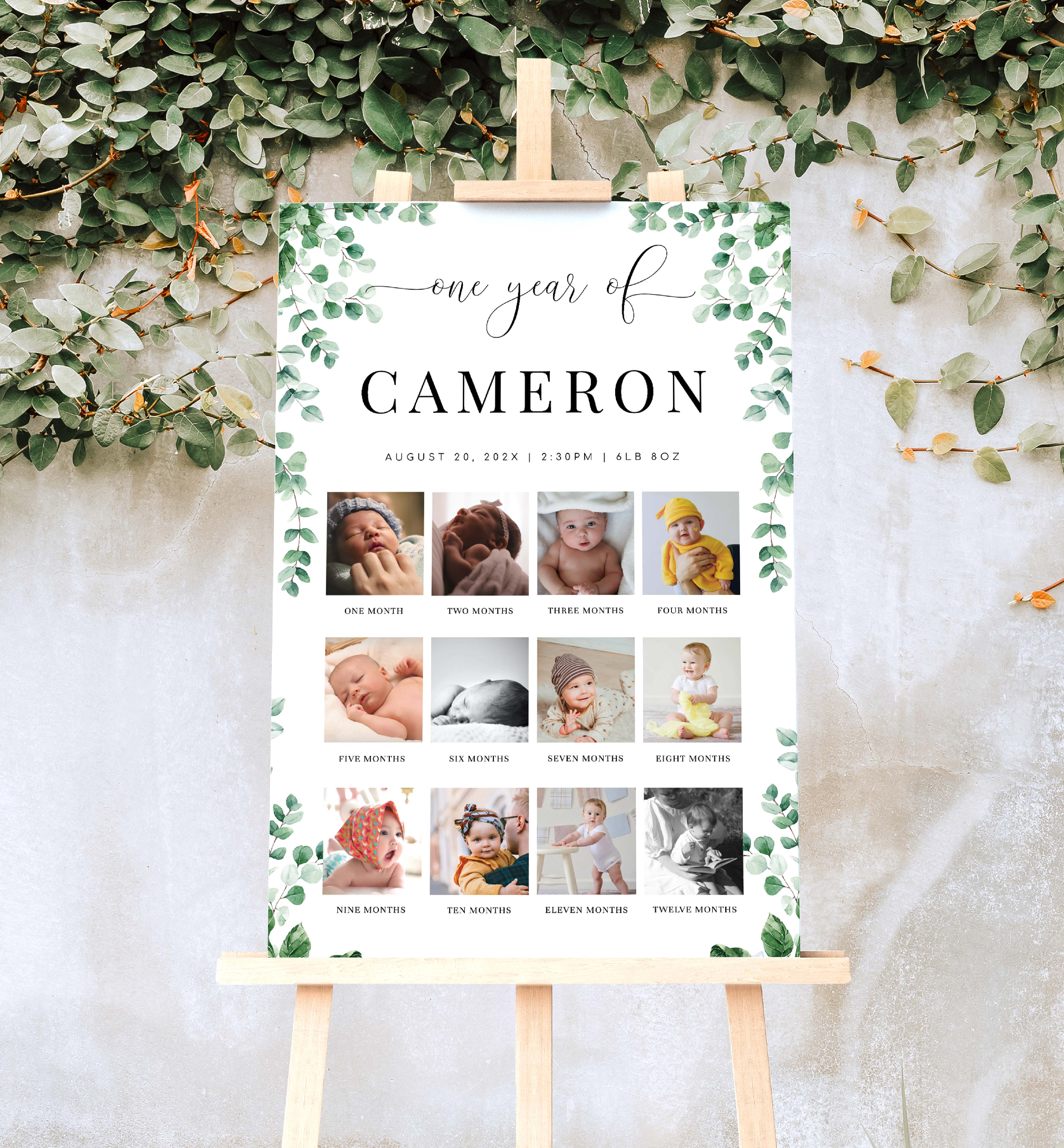 FER-GRE-7-B2601 - FERRAS BLOSSOM - GREENERY - PHOTO TIMELINE SIGN design preview