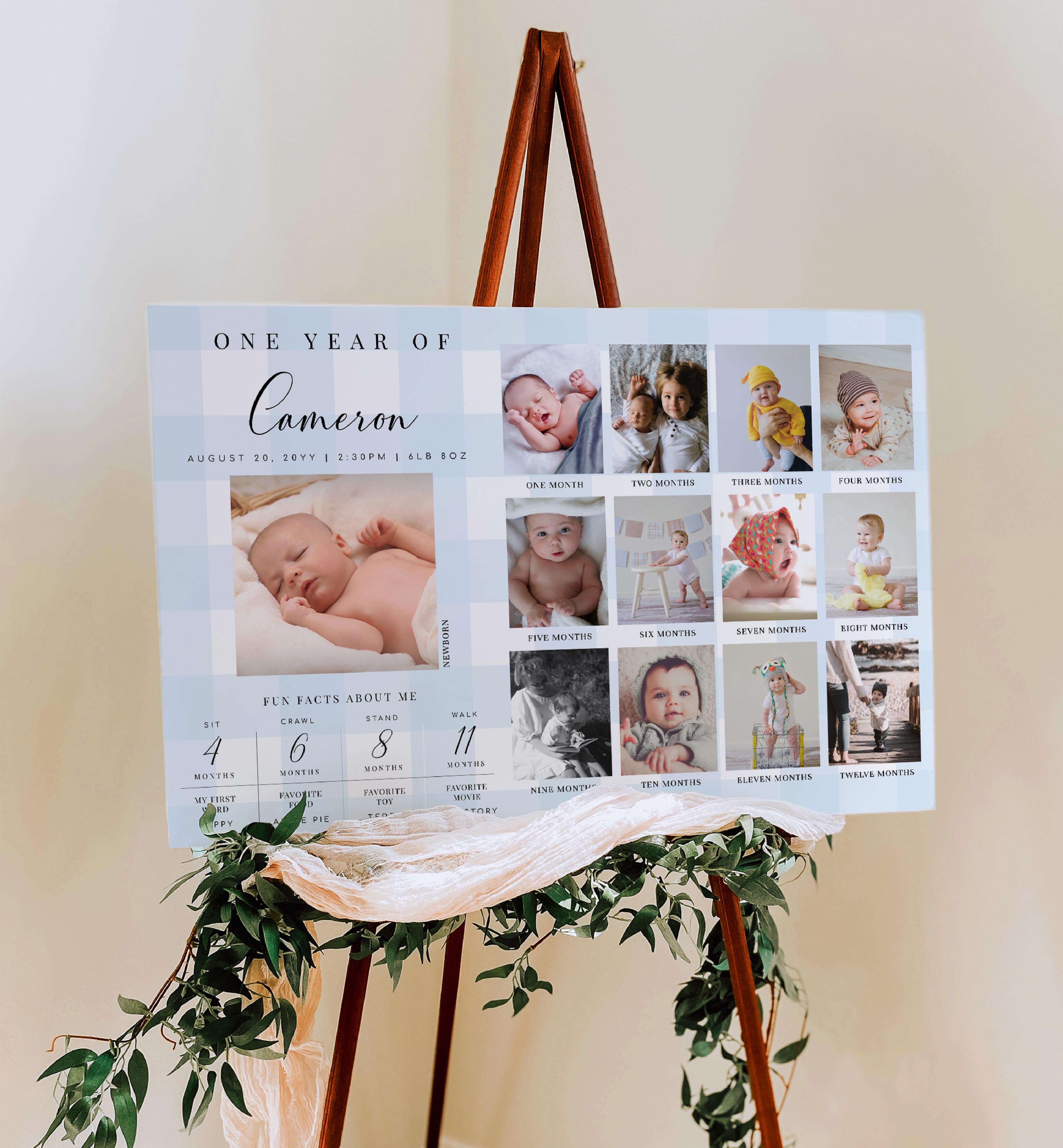 GIN-BLU-7-B2577 - GINGHAM - BLUE - PHOTO TIMELINE AND MILESTONE SIGN design preview