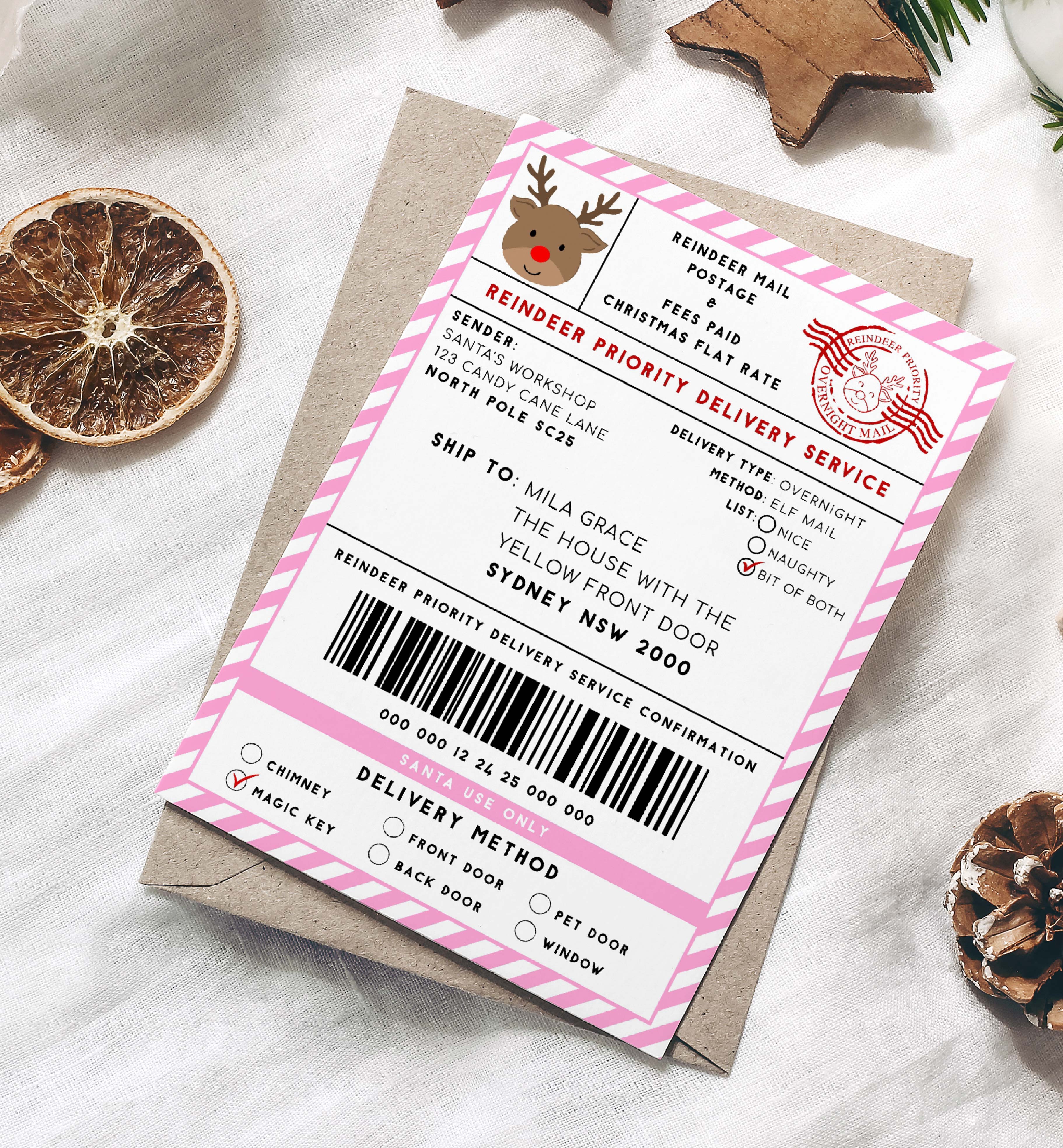 SAW-PNK-6-B3370 - SANTAS WORKSHOP - PINK - REINDEER SHIPPING LABEL design preview