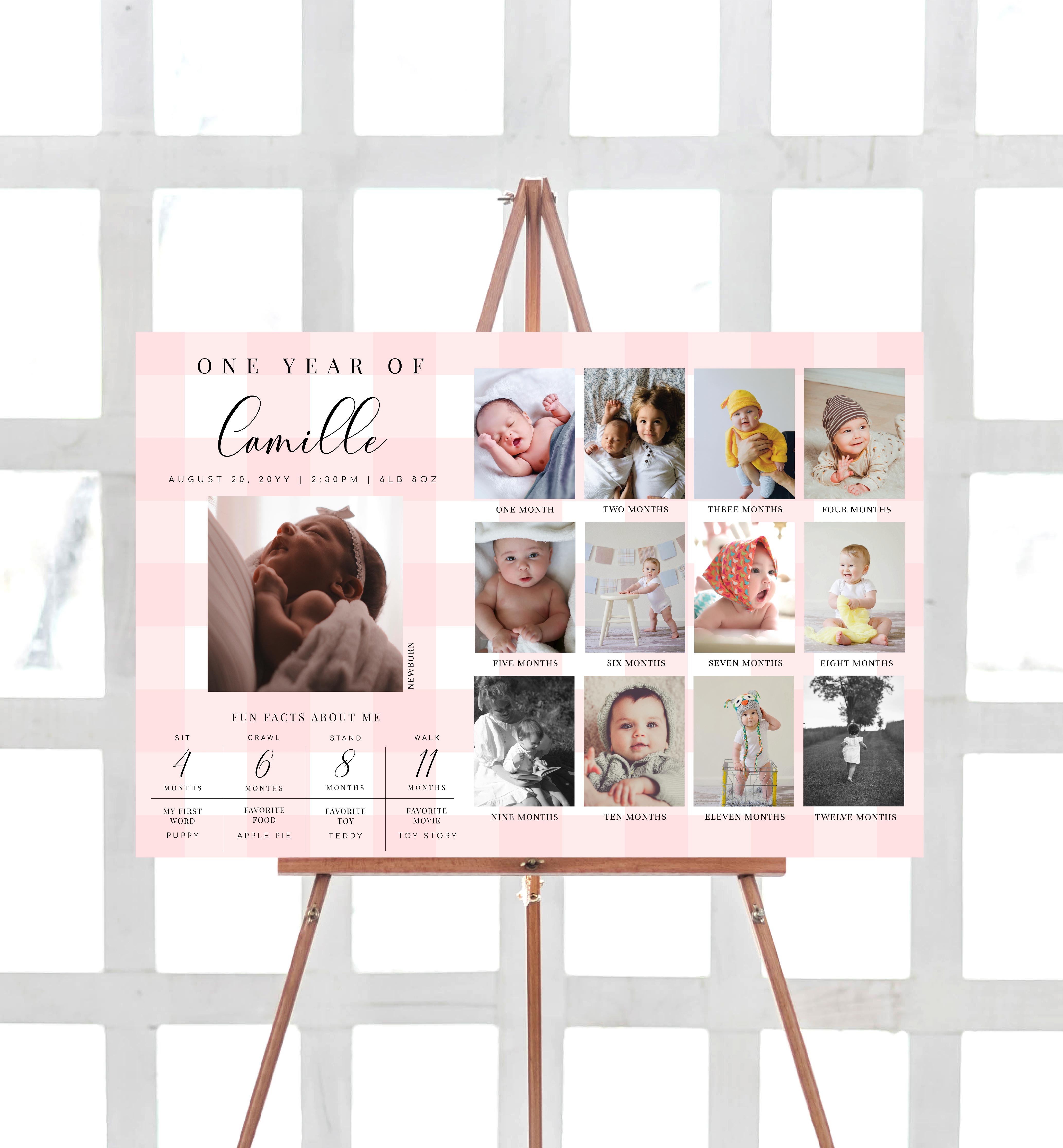 GIN-PNK-7-B2577 - GINGHAM - PINK - PHOTO TIMELINE AND MILESTONE SIGN design preview