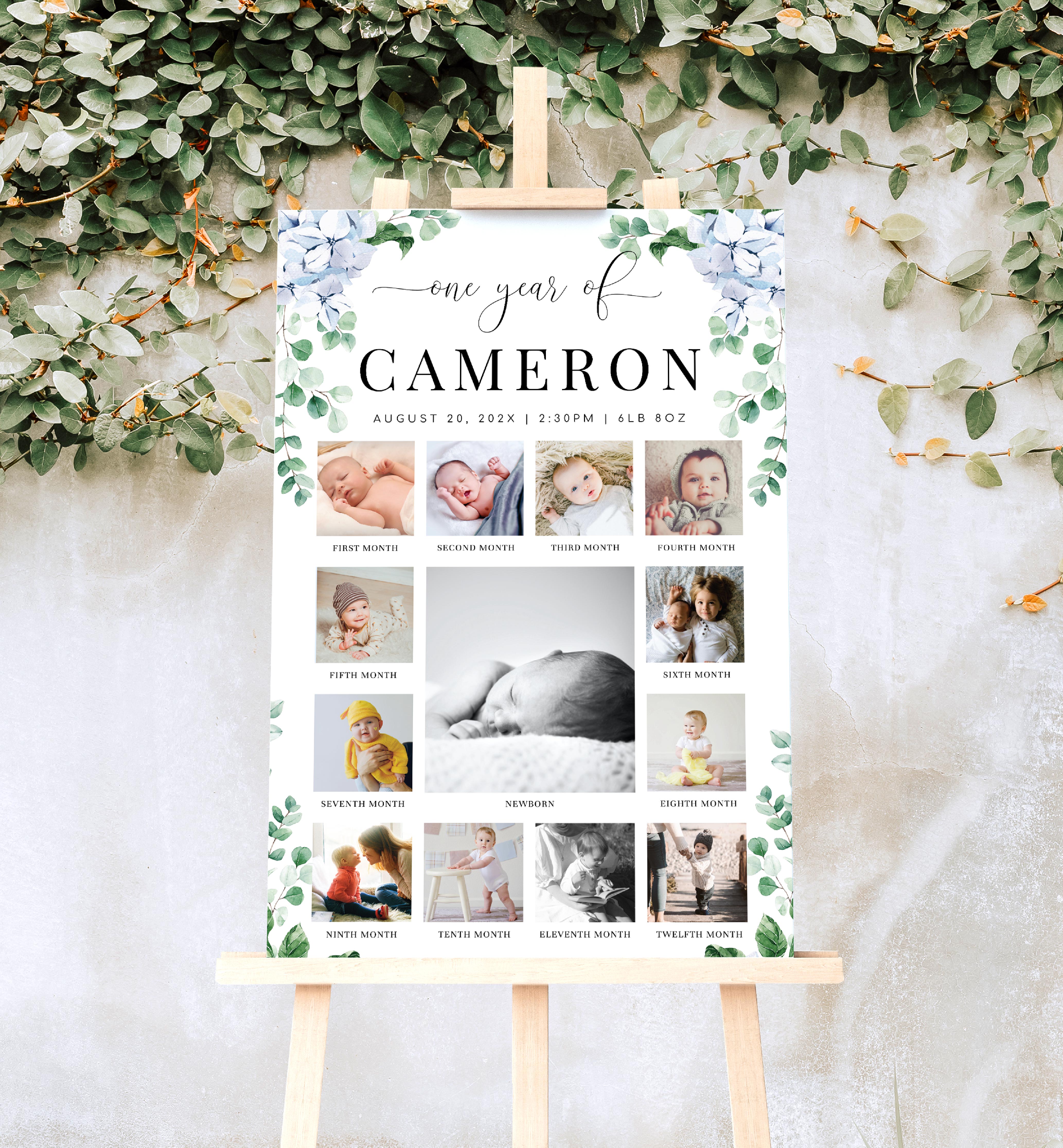 FER-BLU-7-B2361 - FERRAS BLOSSOM - BLUE - PHOTO TIMELINE SIGN design preview