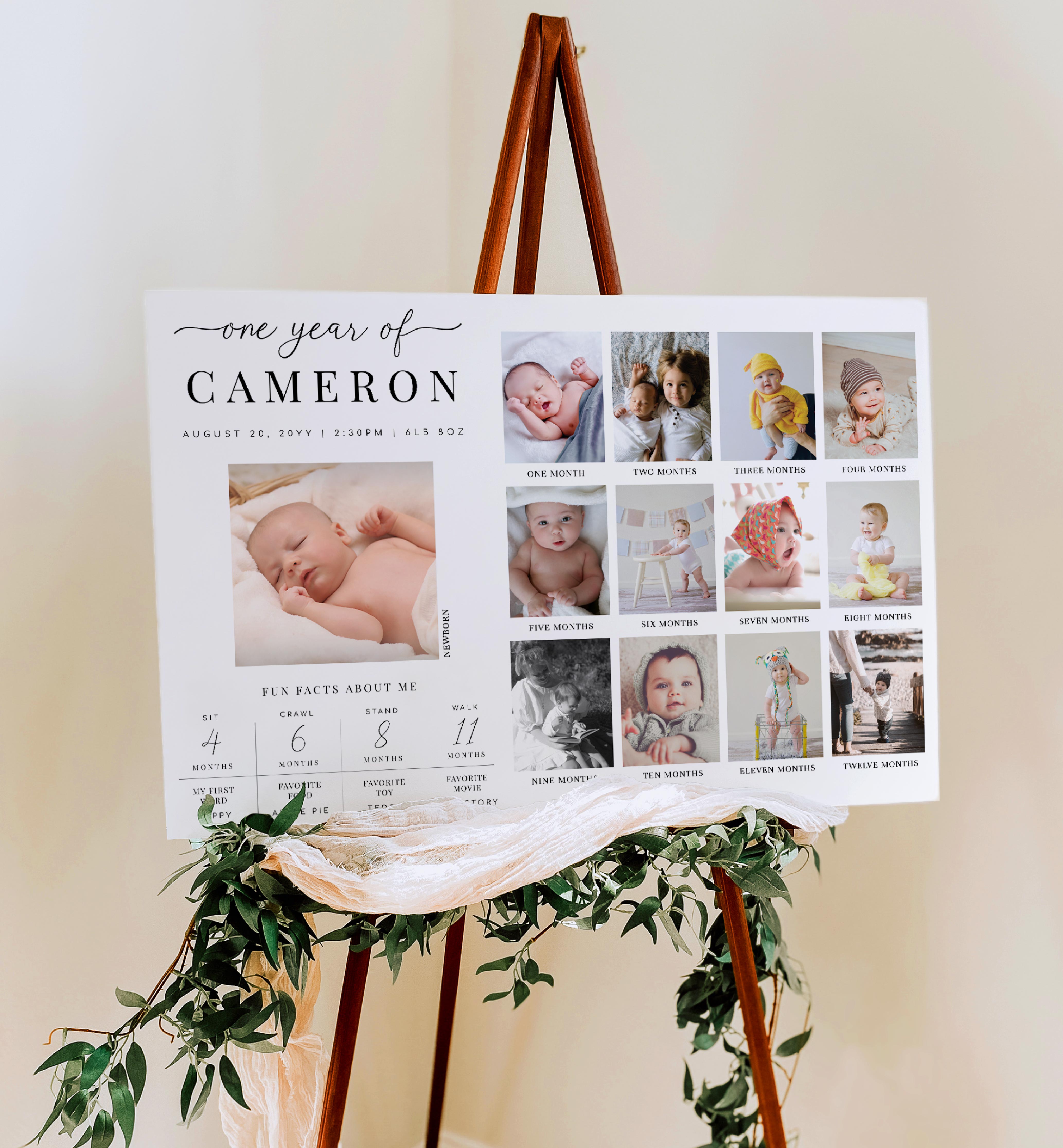 QSC-WHT-7-B2575 - QUINN SCRIPT - WHITE - PHOTO TIMELINE AND MILESTONE SIGN - LANDSCAPE design preview