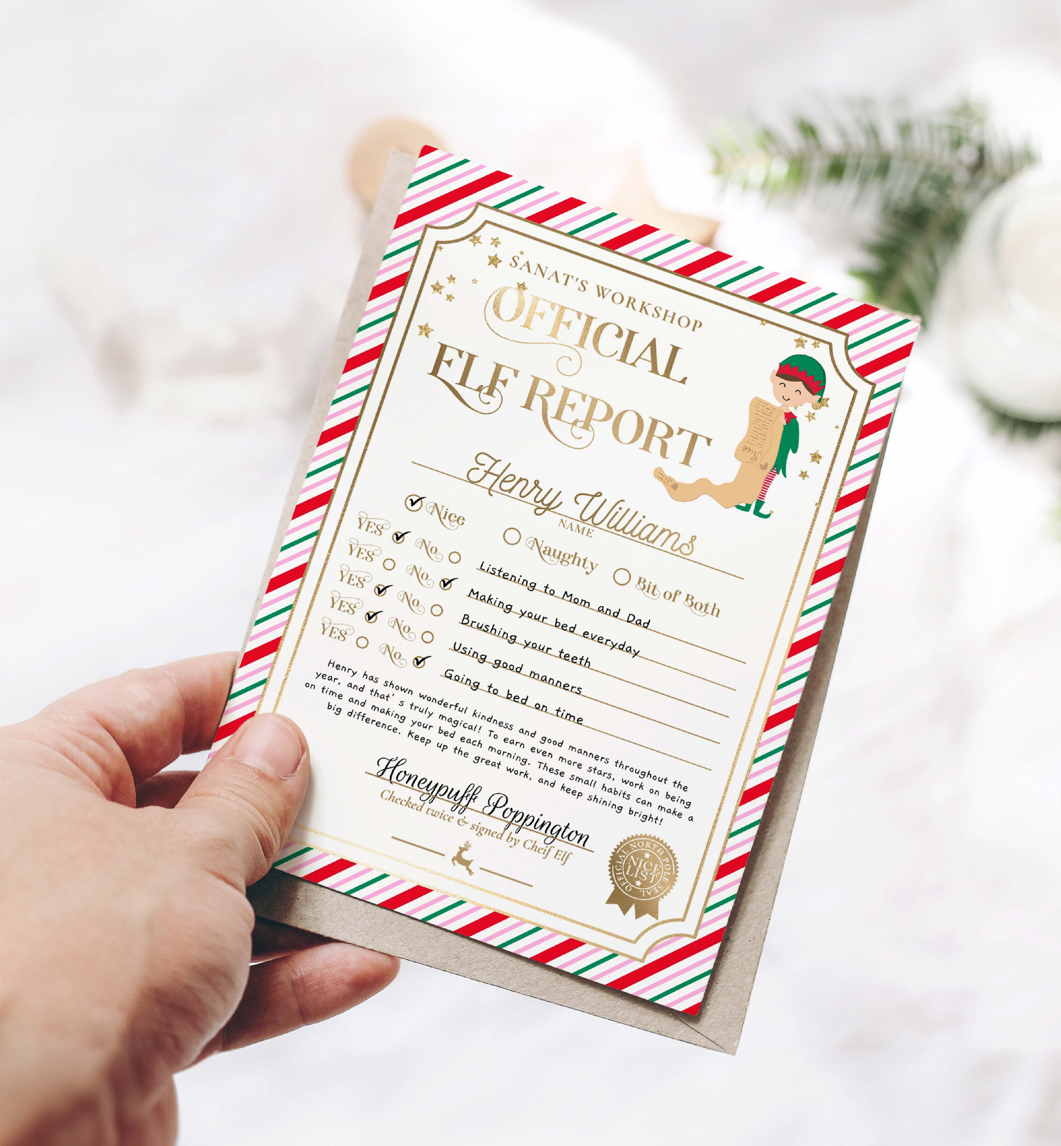 STR-PMT-24-B3393 - STRIPE - PINK MULTI - ELF REPORT CARD design preview