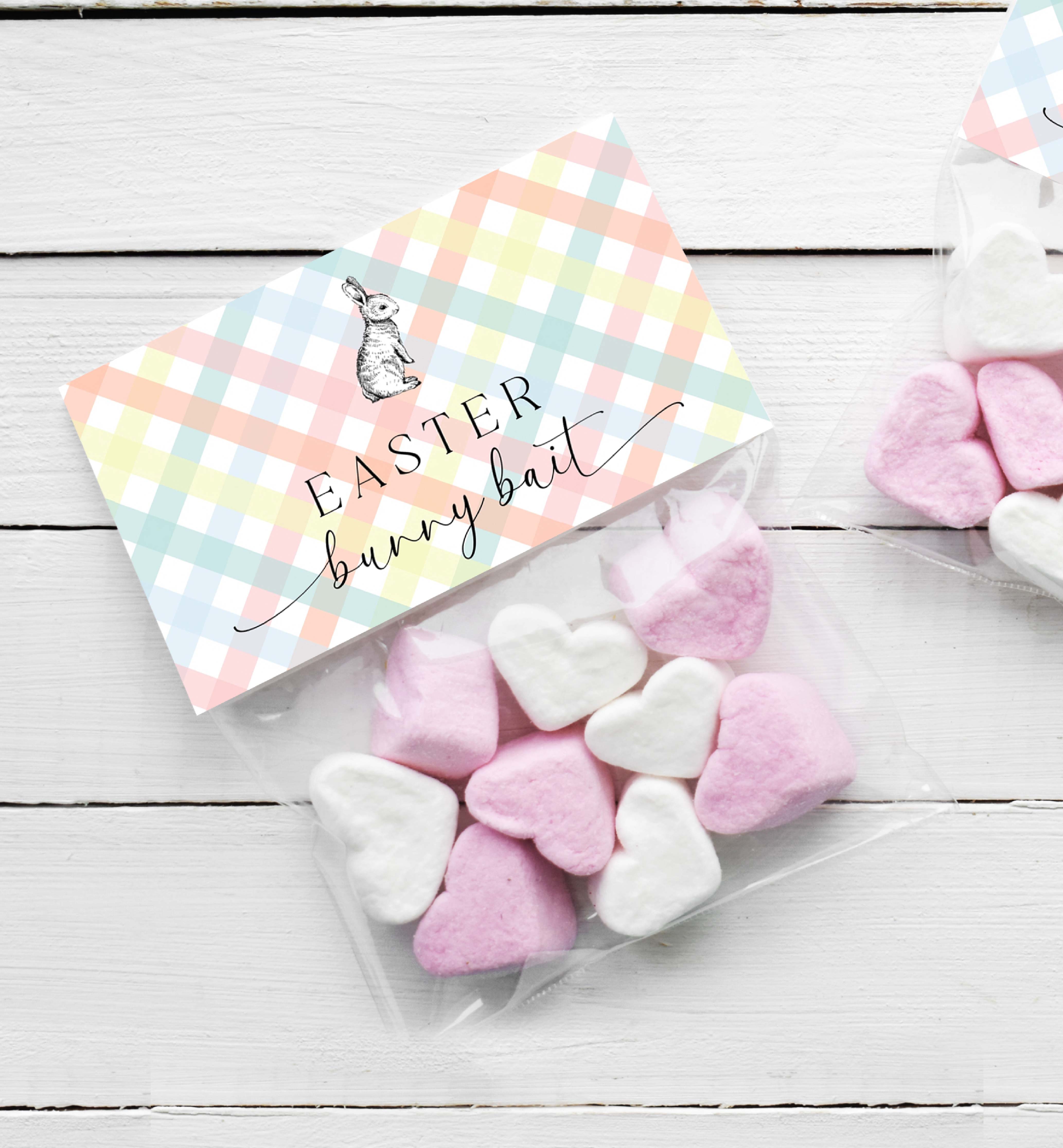 GIN-MLT-6-B3097 - GINGHAM - MULTI - EASTER BUNNY BAIT BAG TOPPER design preview