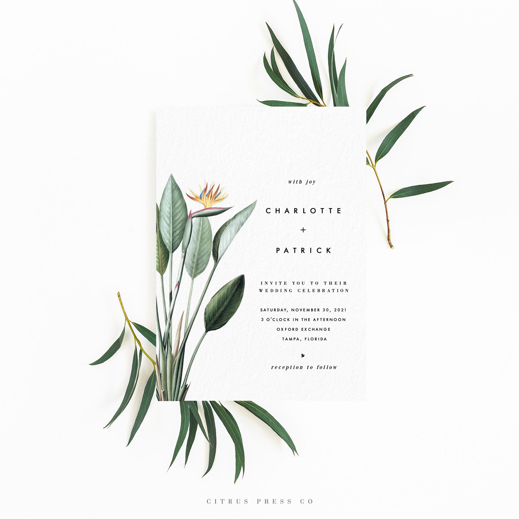 Bird of Paradise Invitation Suite design preview