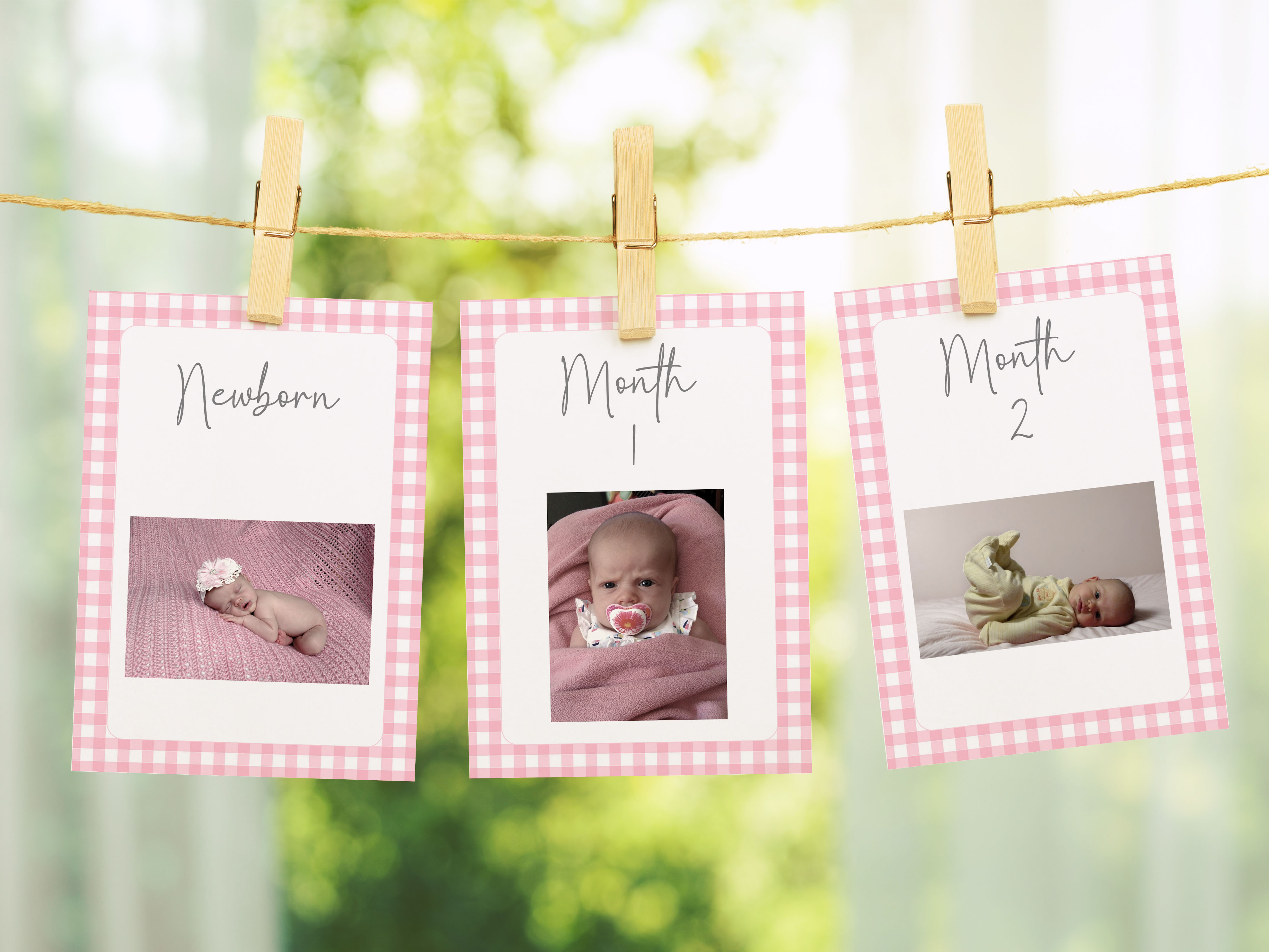 Pink Gingham Monthly Banner 150i design preview