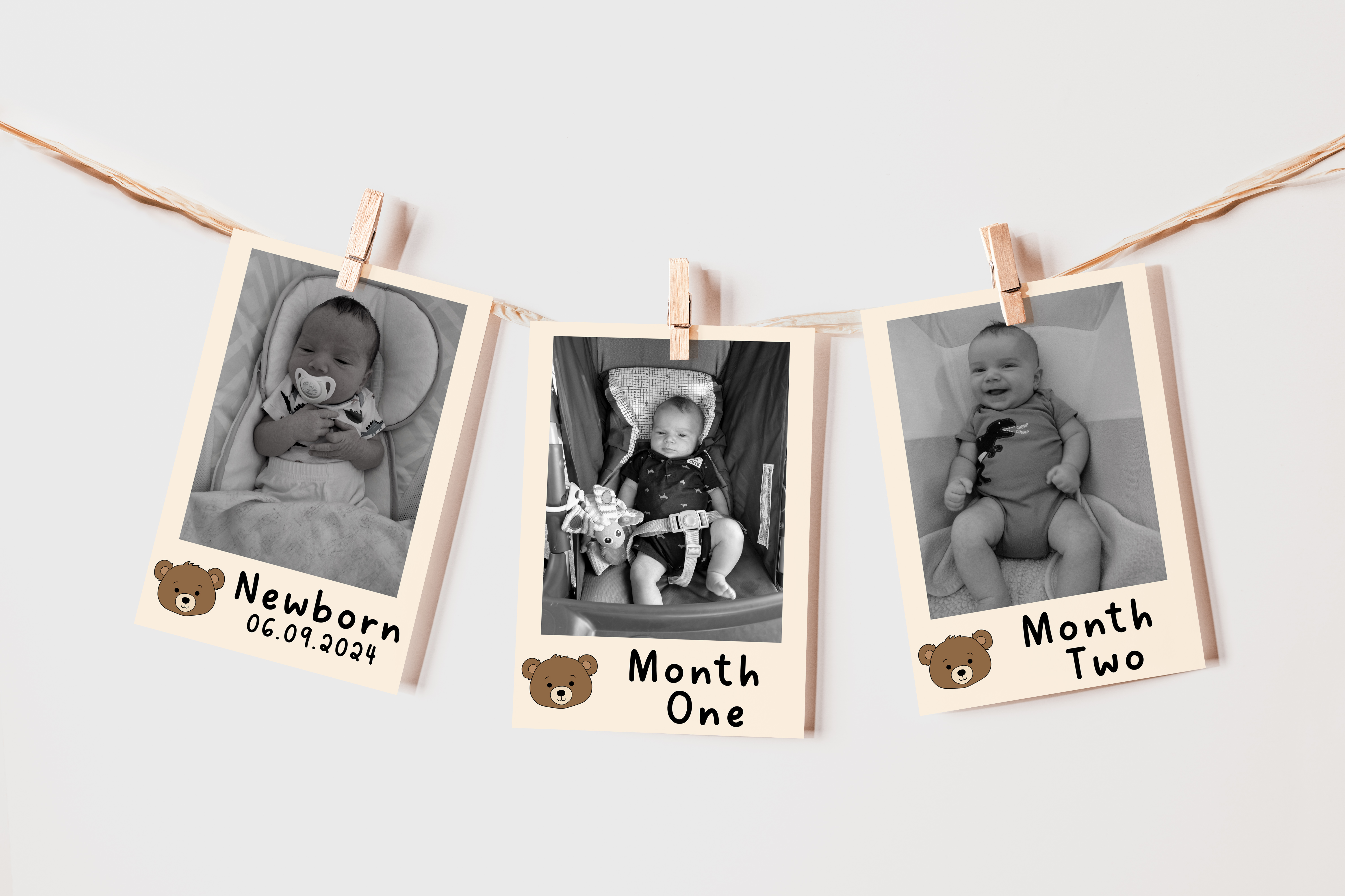 Beary First Birthday Monthly Banner 2aj design preview