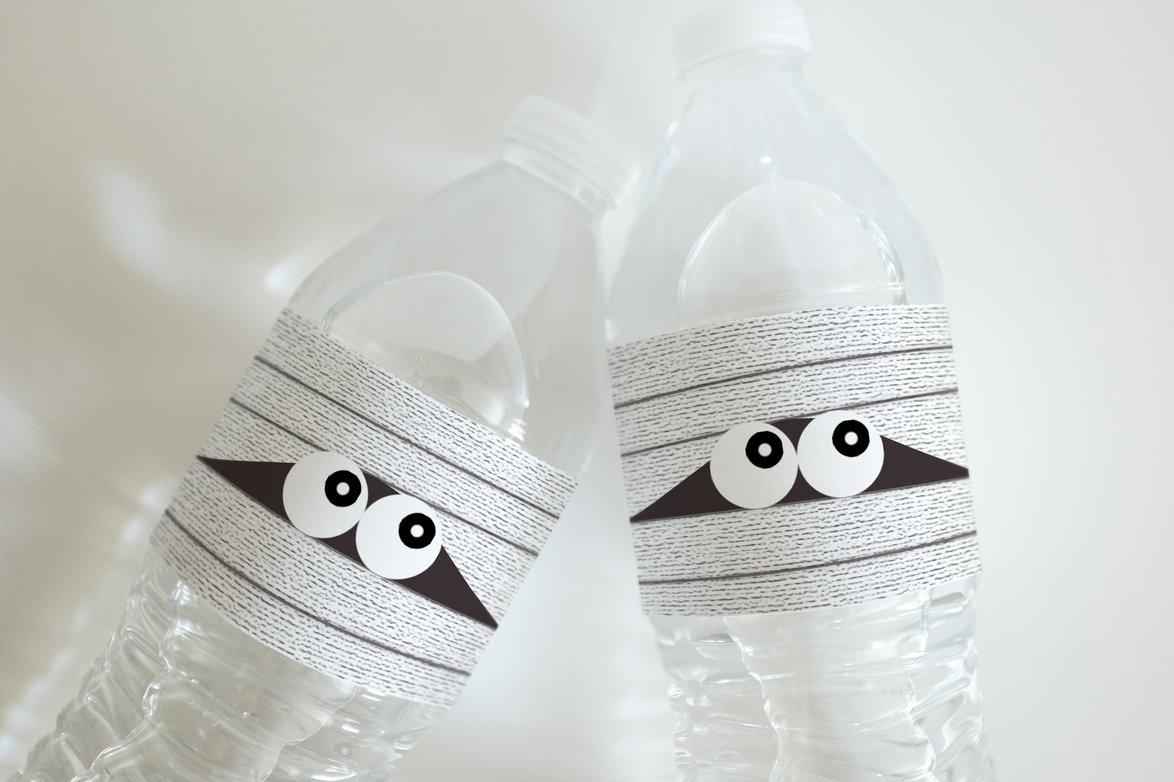 Mummy Water Bottle Label 109e design preview