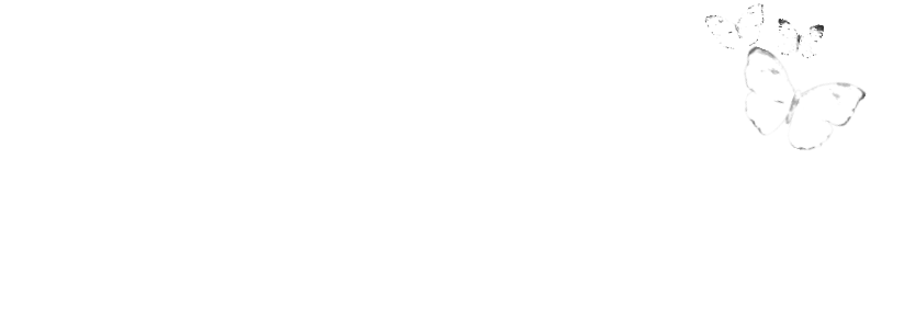 BrooklynPaperieCo