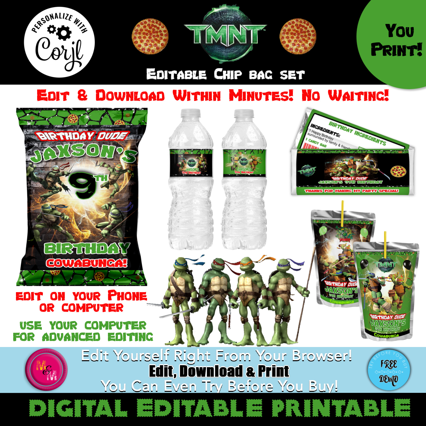 Teenager Mutant Ninja Turtles Chip Set design preview