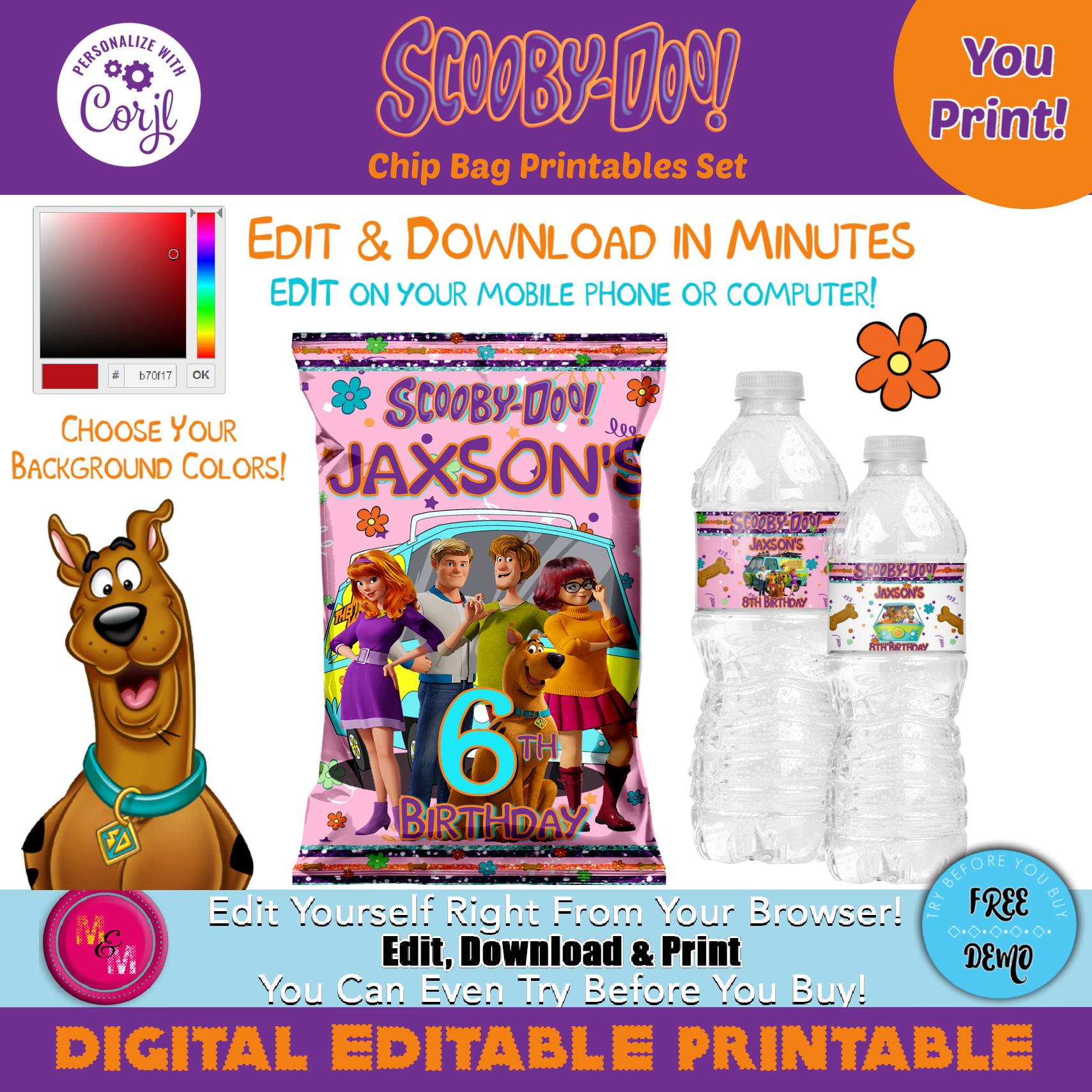 Scooby Doo Chip Bag & Water Bottle Label Set design preview