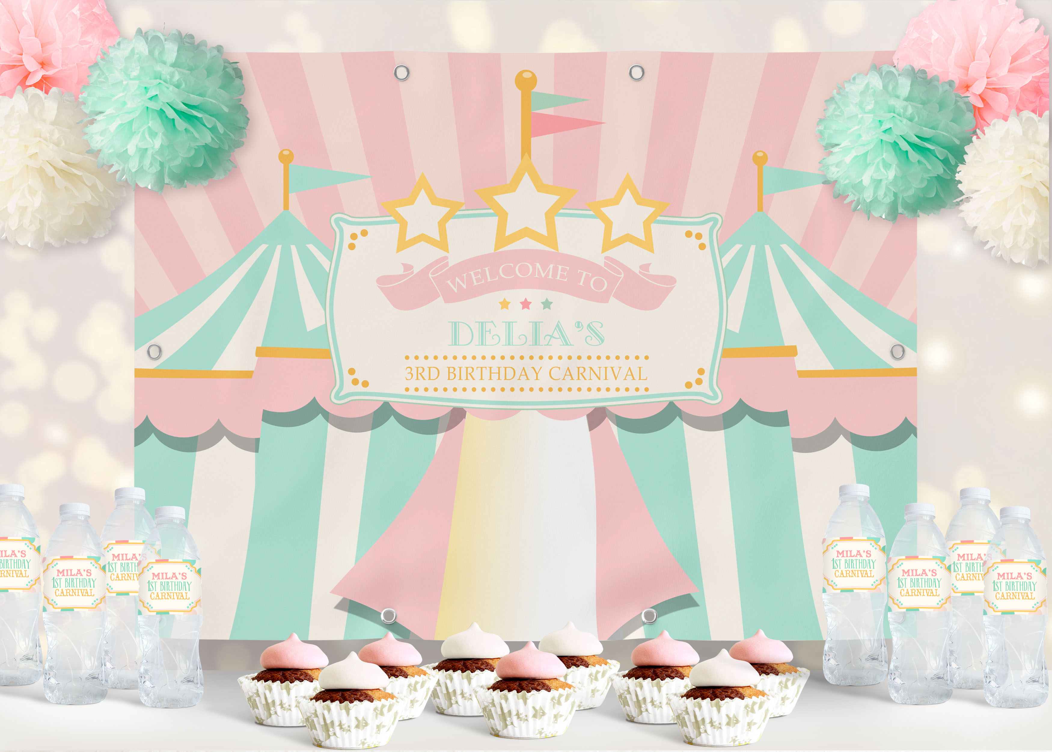 Pink & Mint Circus Backdrop design preview