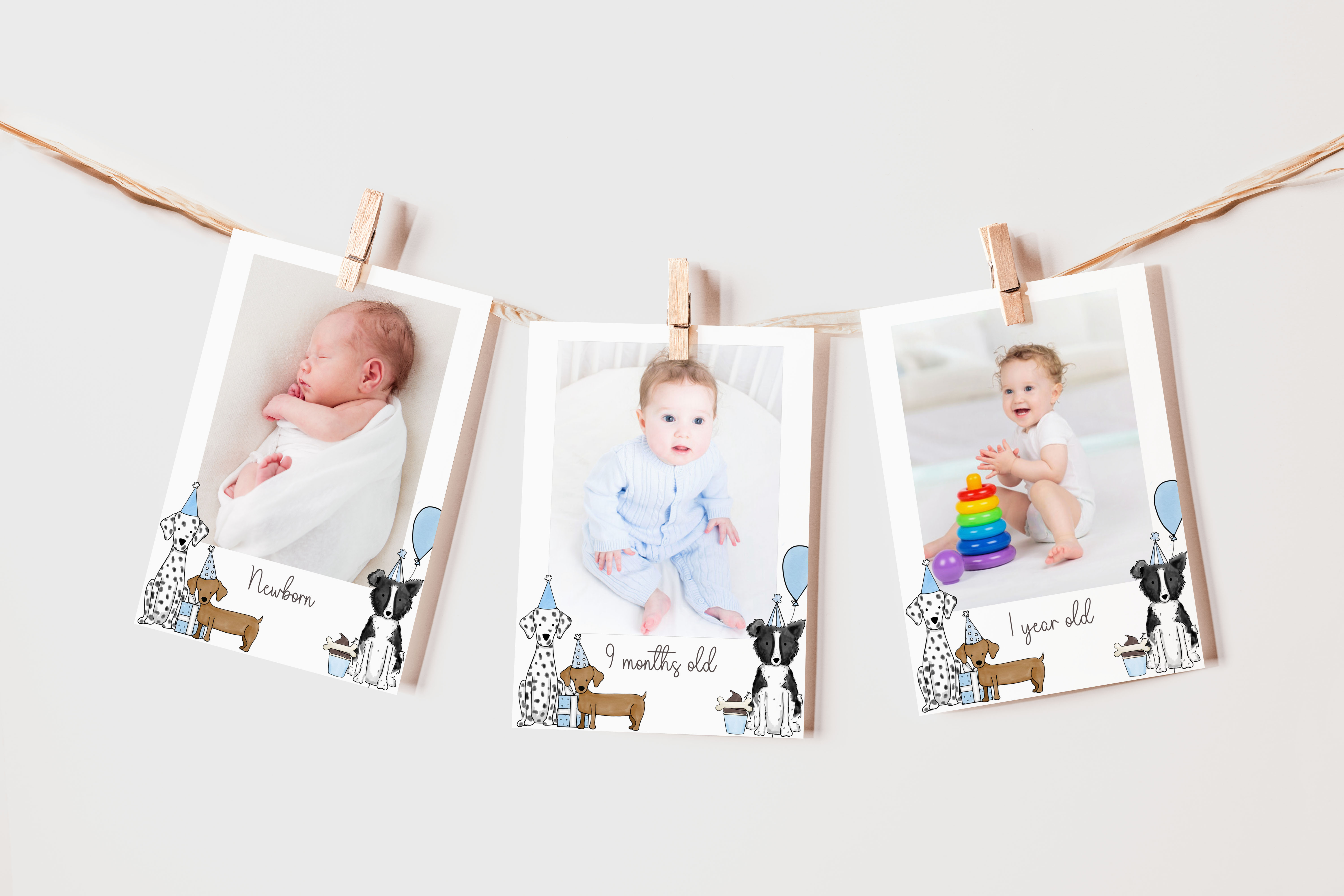 Let's Pawty Photo Banner- Blue design preview