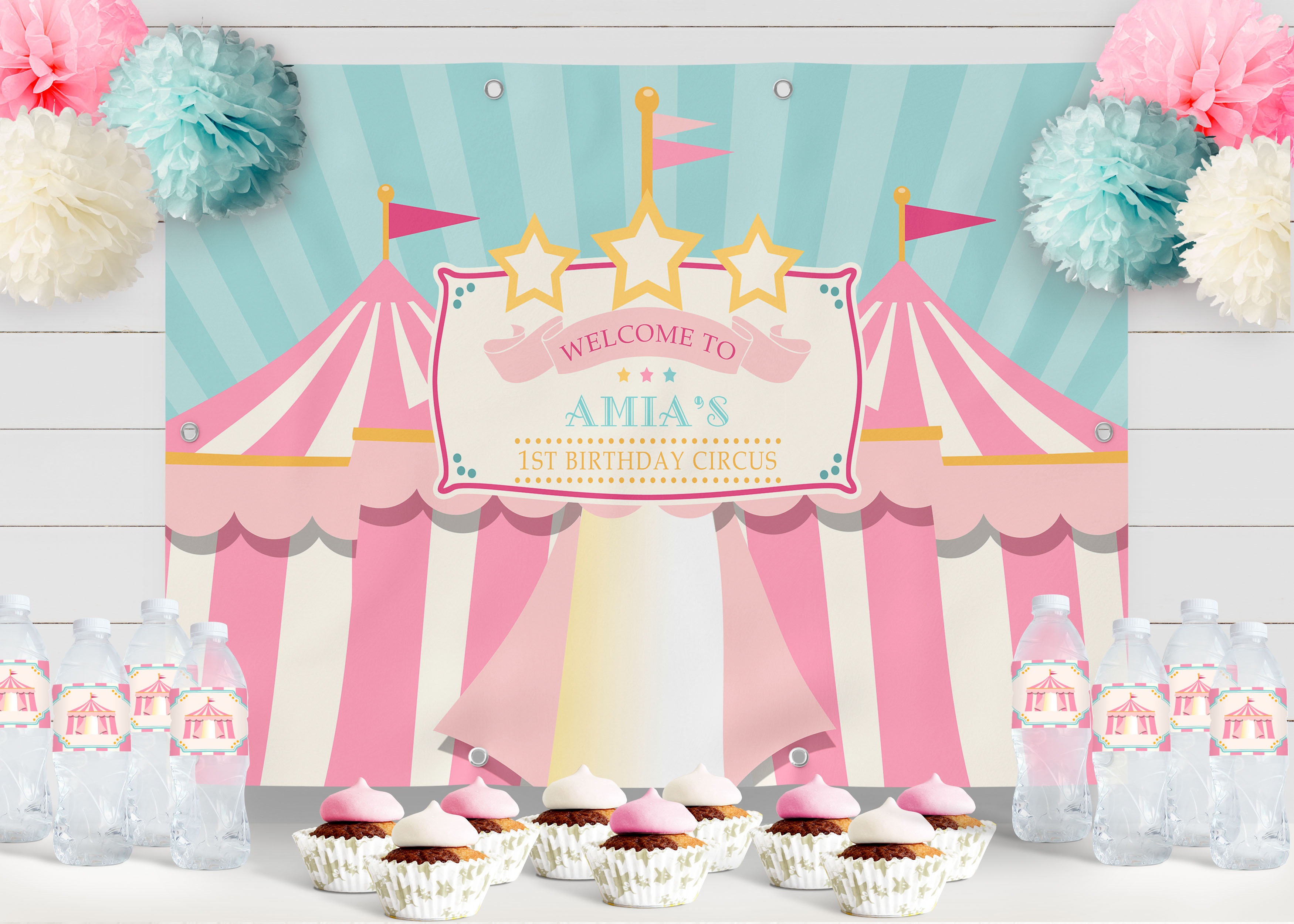 Pink & Teal Circus Backdrop design preview