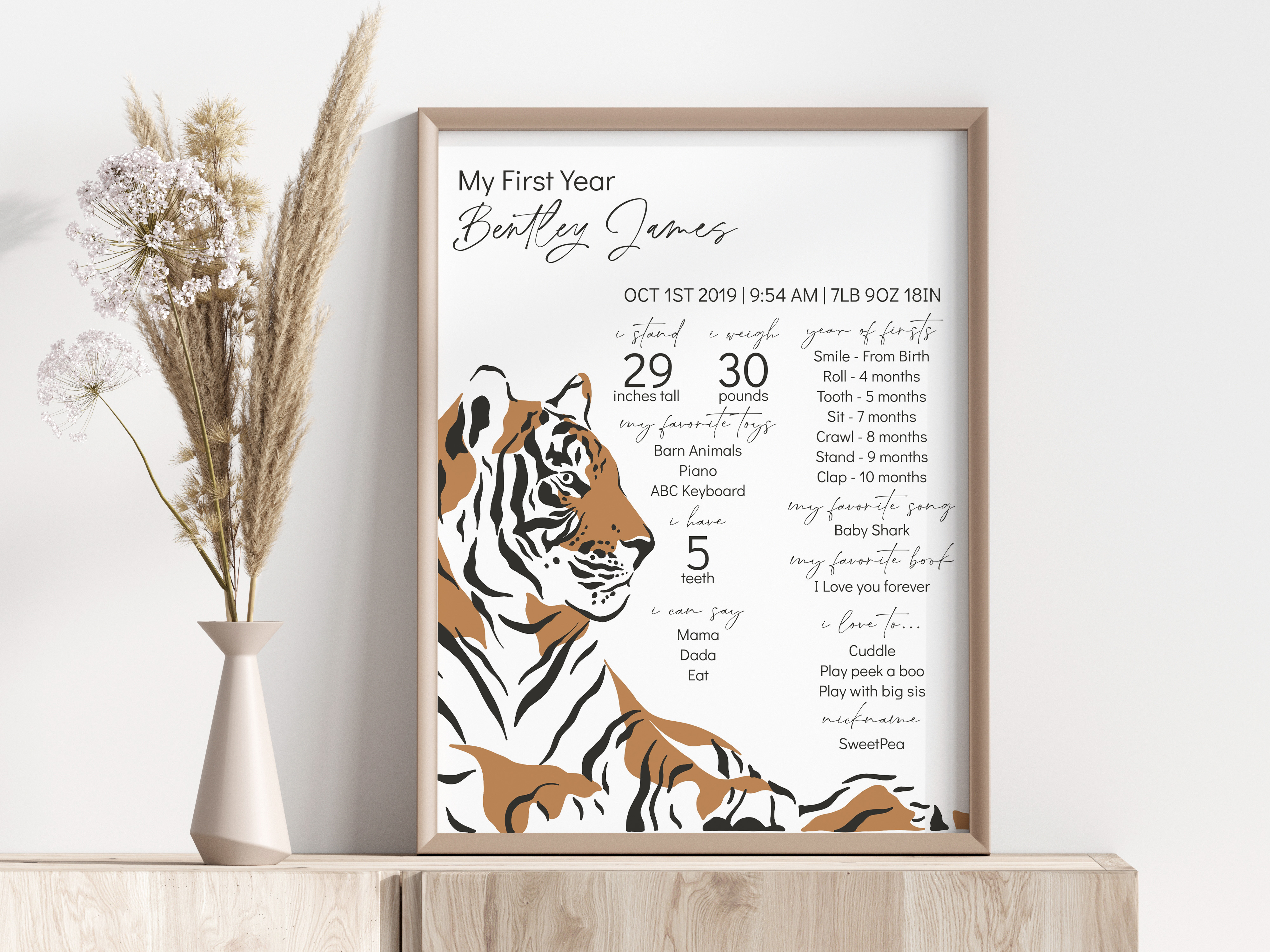 jungle - my first year design preview