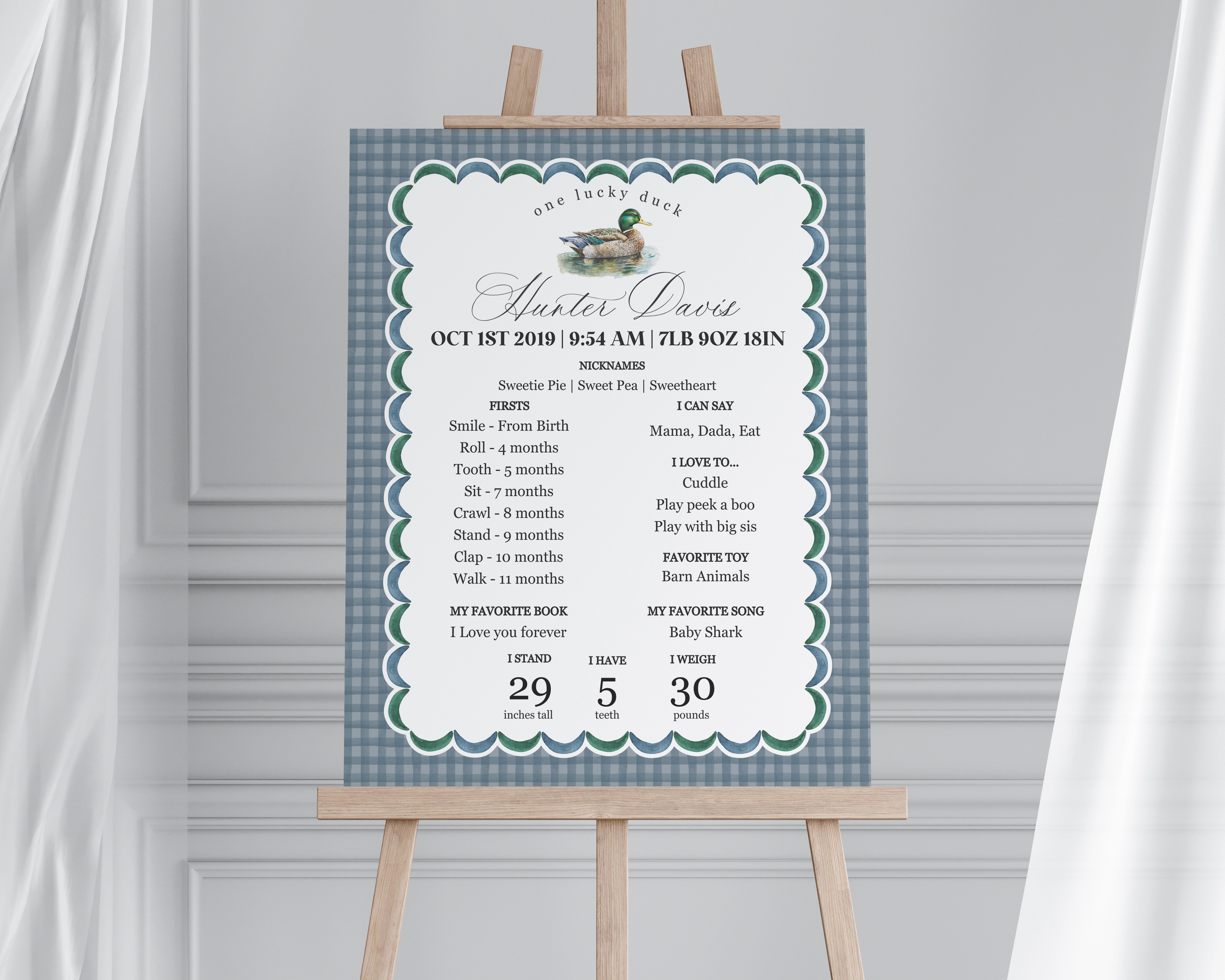 mallard - my first year design preview