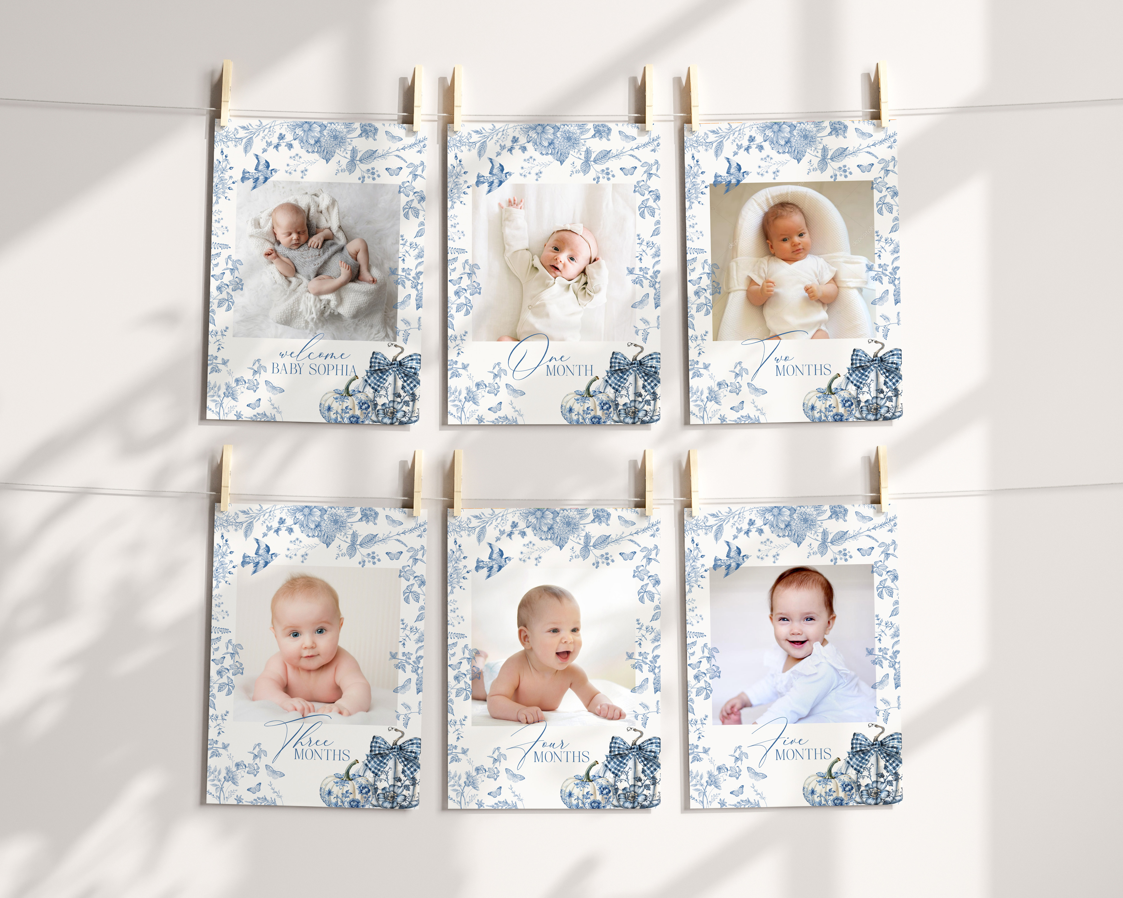 blue toile pumpkin - milestone banner design preview