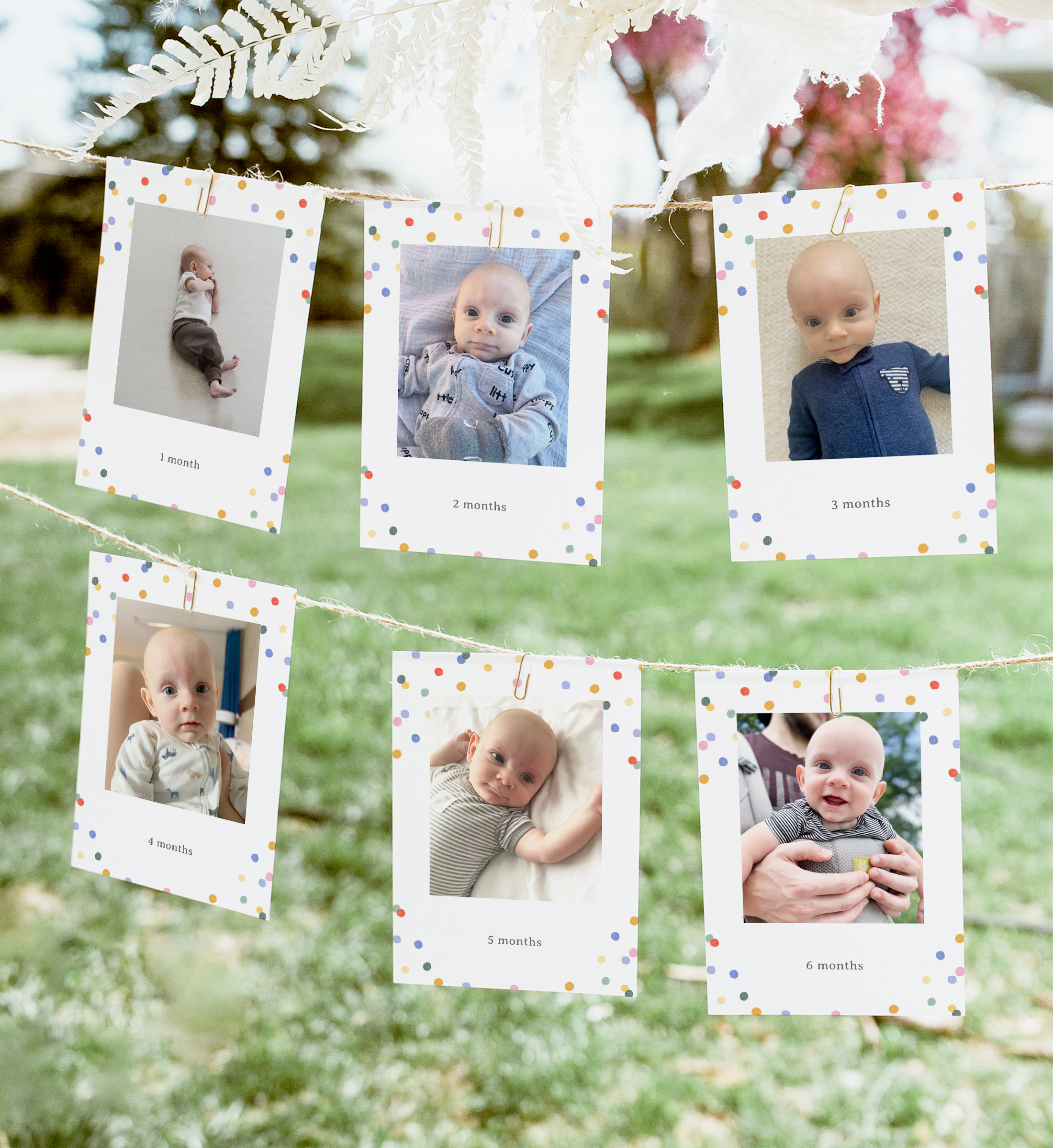 Milestone Photo Banner - Jungle Animals - 9989 design preview