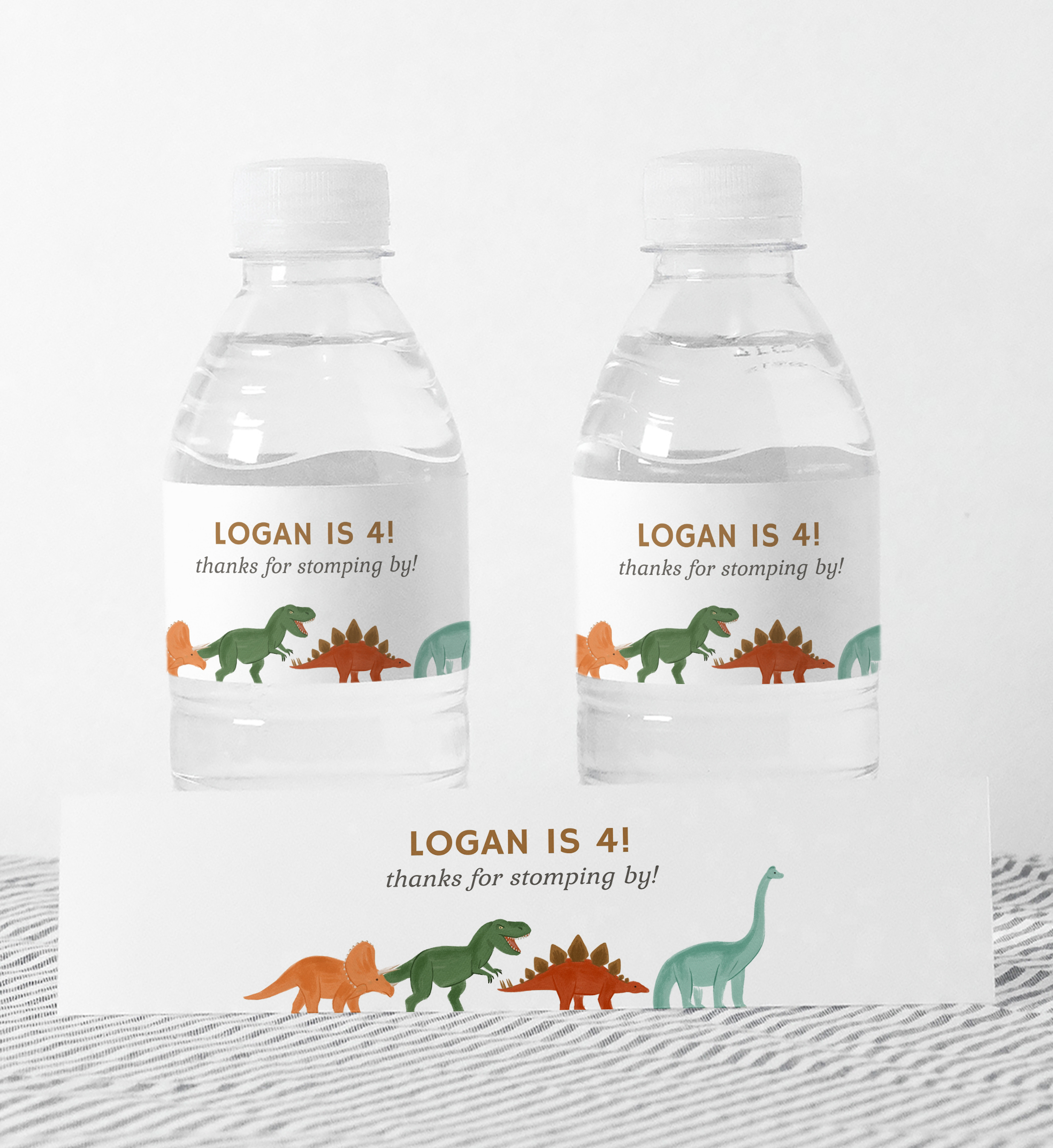 Water Bottle Wrap - Dinosaurs - 9994 design preview