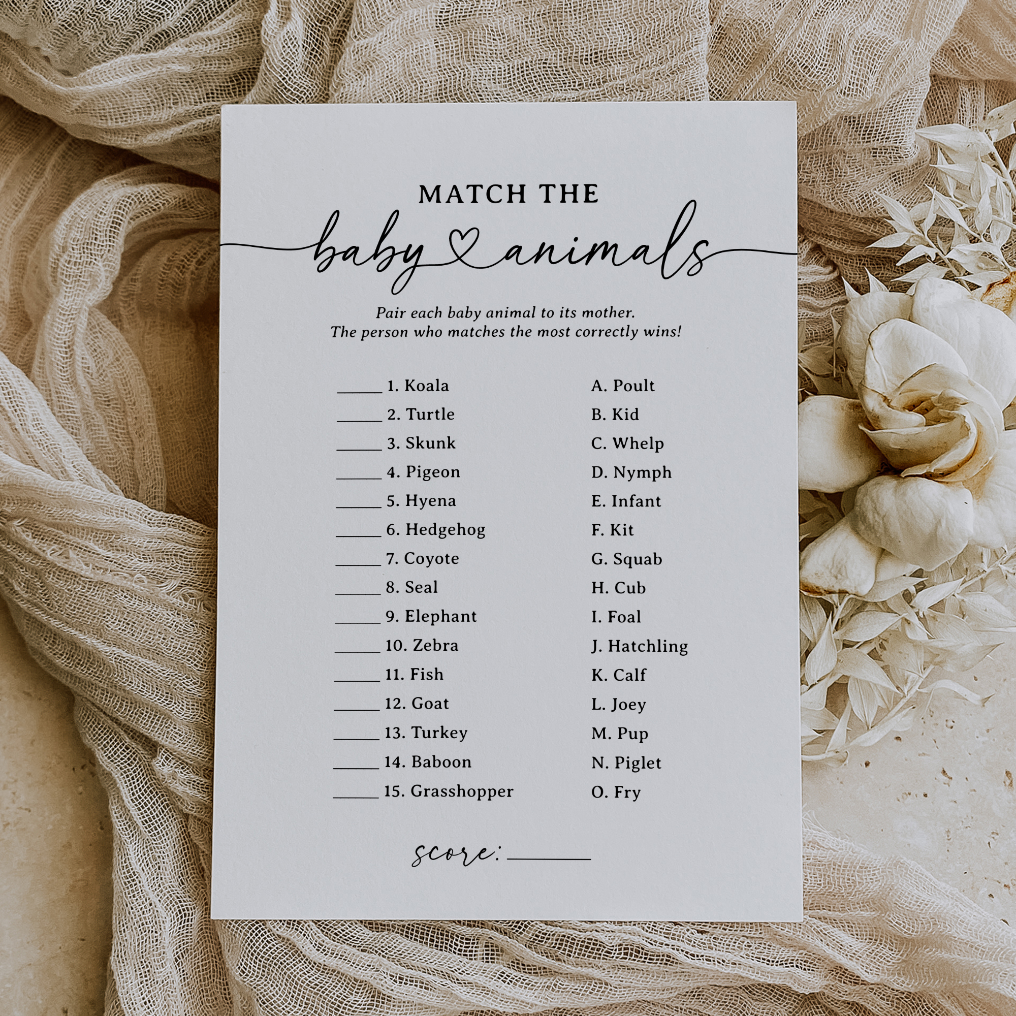 Baby Animal Match - Minimal - 0000 design preview