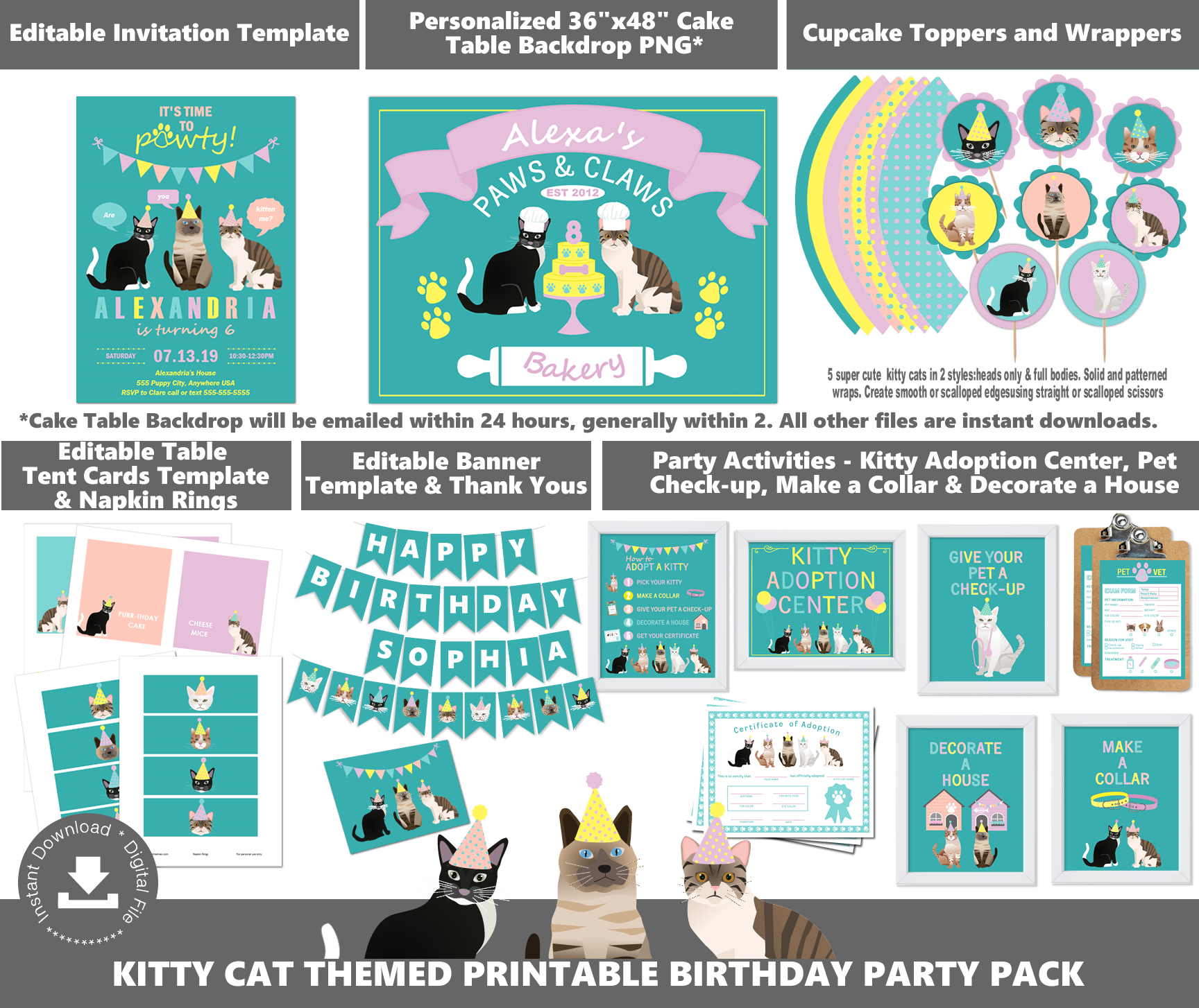 Kitty Party Pack Teal design preview