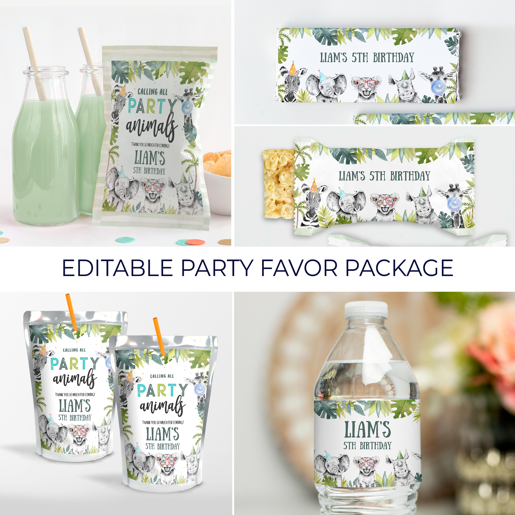 S105 - Safari Party Favor Package design preview