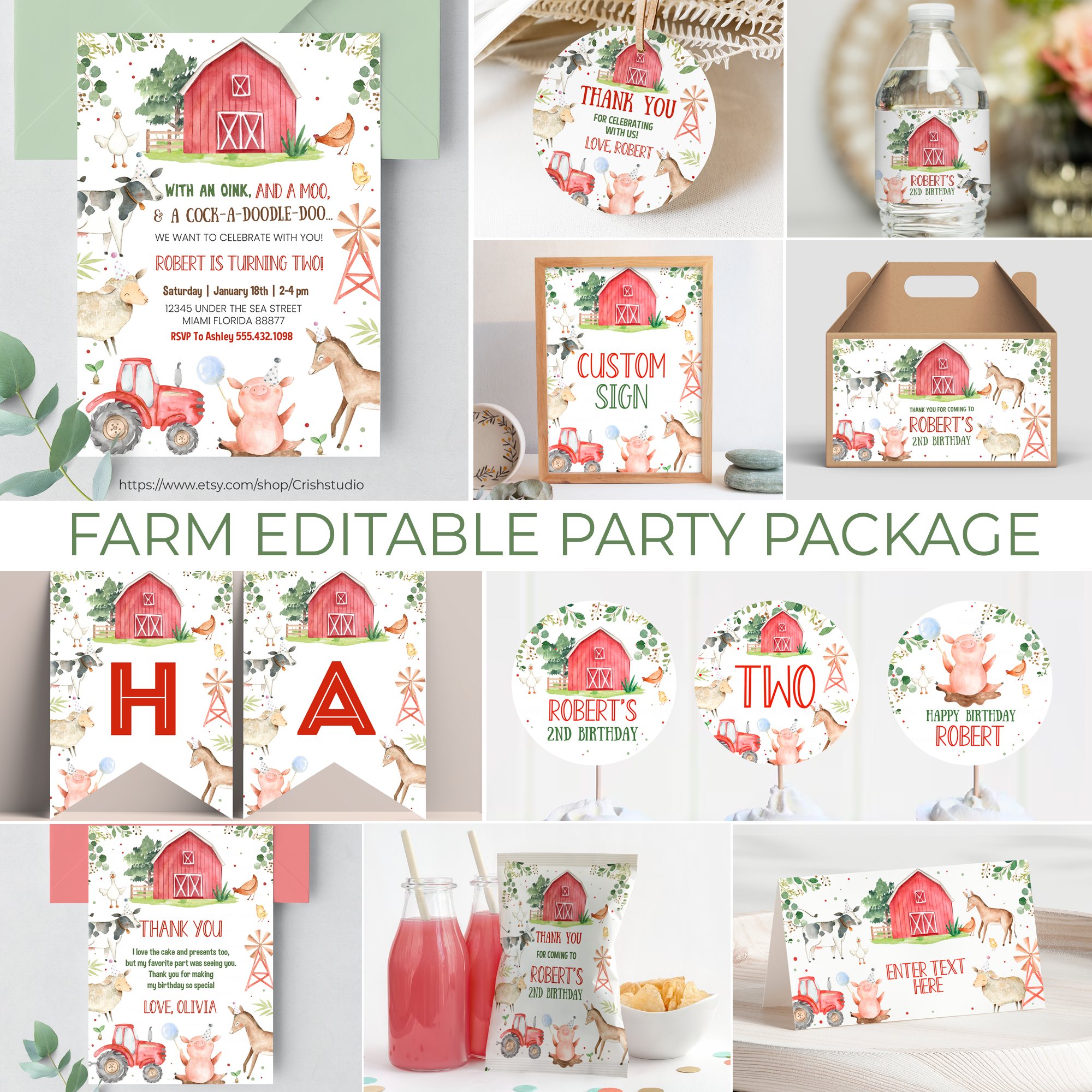 F101 - Boy Farm Party Package design preview
