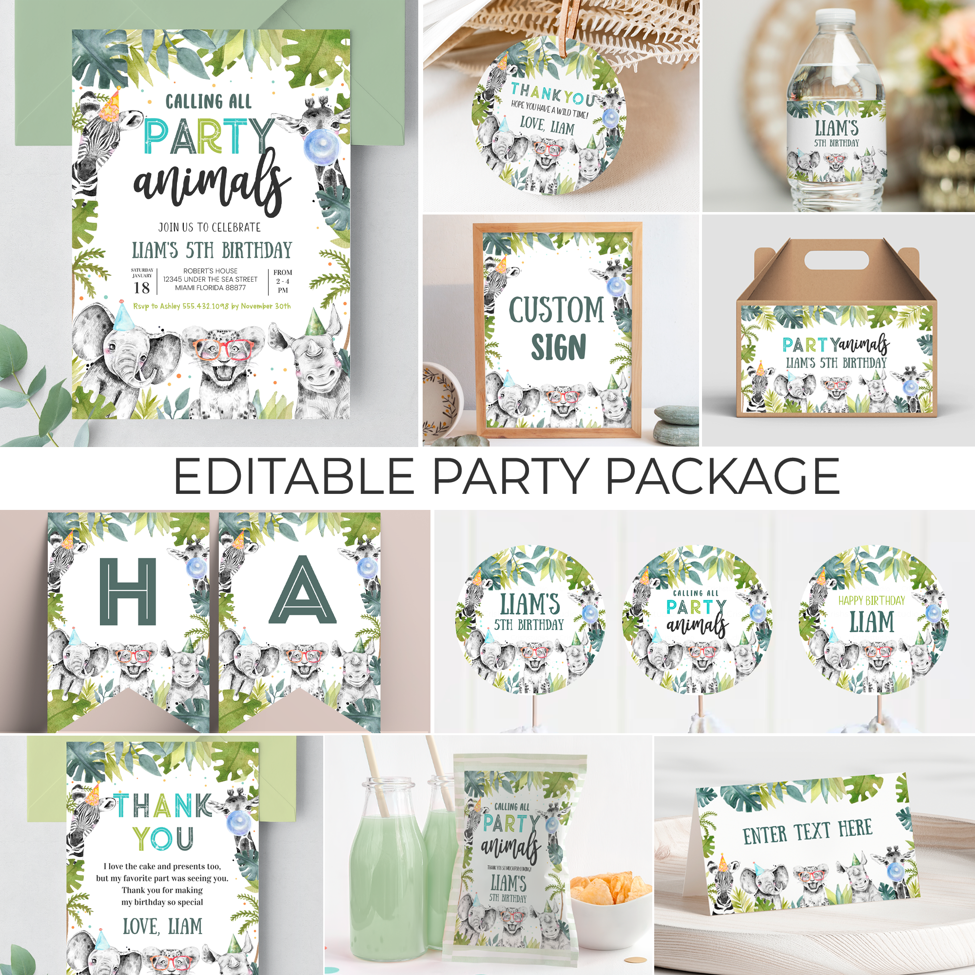 S105 - Safari Birthday Package design preview