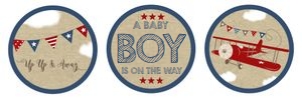 Airplane Baby Shower Cupcake Toppers: Airplane Baby Shower Cupcake Toppers
