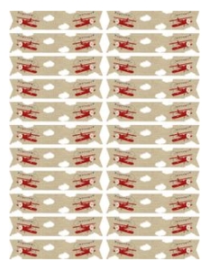 Airplane Baby Shower Straw Flags: Airplane Birthday Invitation