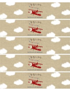 Airplane Birthday Water Bottle Labels: Airplane Birthday Invitation