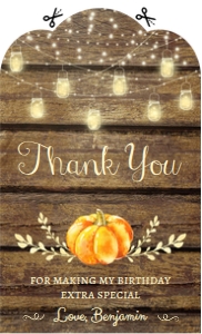 Pumpkin Birthday Thank You Tag: Pumpkin Birthday Photo Invitation