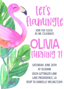 Birthday Flamingo birthday: Birthday Flamingo birthday