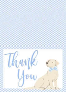 Thank You Blue Gingham Lab Master: Baby Shower Blue Gingham Lab