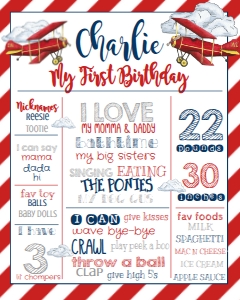 Birthday Plane Stat Board: Birthday Plane Stat Board