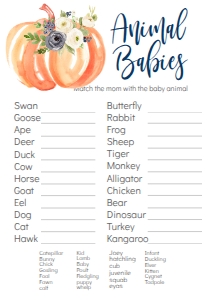 BSG Blue Floral Pumpkin Animal Babies: BSG Blue Floral Pumpkin Game Set