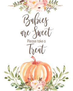 BSS Pumpkin Baby Greenery Sweet Treat Sign: Baby Shower Pumpkin Greenery Welcome Sign 18x24