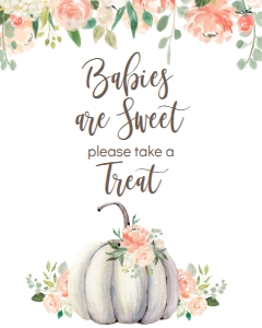 BSS Baby Floral Pumpkin Sweet Treat Sign: BSS Floral Pumpkin Welcome Sign 8x10