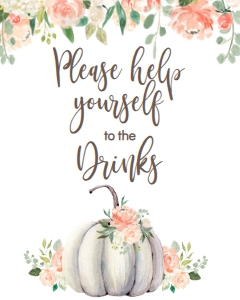 BSS Baby Floral Pumpkin Drinks Sign: BSS Floral Pumpkin Welcome Sign 8x10
