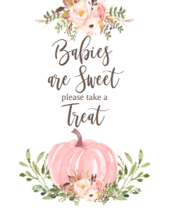 BSS Pink Pumpkin Floral Sweet Treat Sign: BSS Floral Pink Pumpkin Welcome Sign 8x10