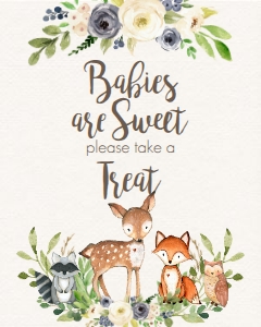 BSS Woodland Animals Blue Sweet Treat: BSS Woodland Animals Floral Blue Welcome 8x10