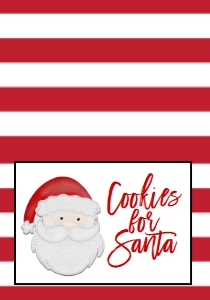 Christmas Food Tent Cookies for Santa: Christmas Birthday Cookies Cocoa Santa